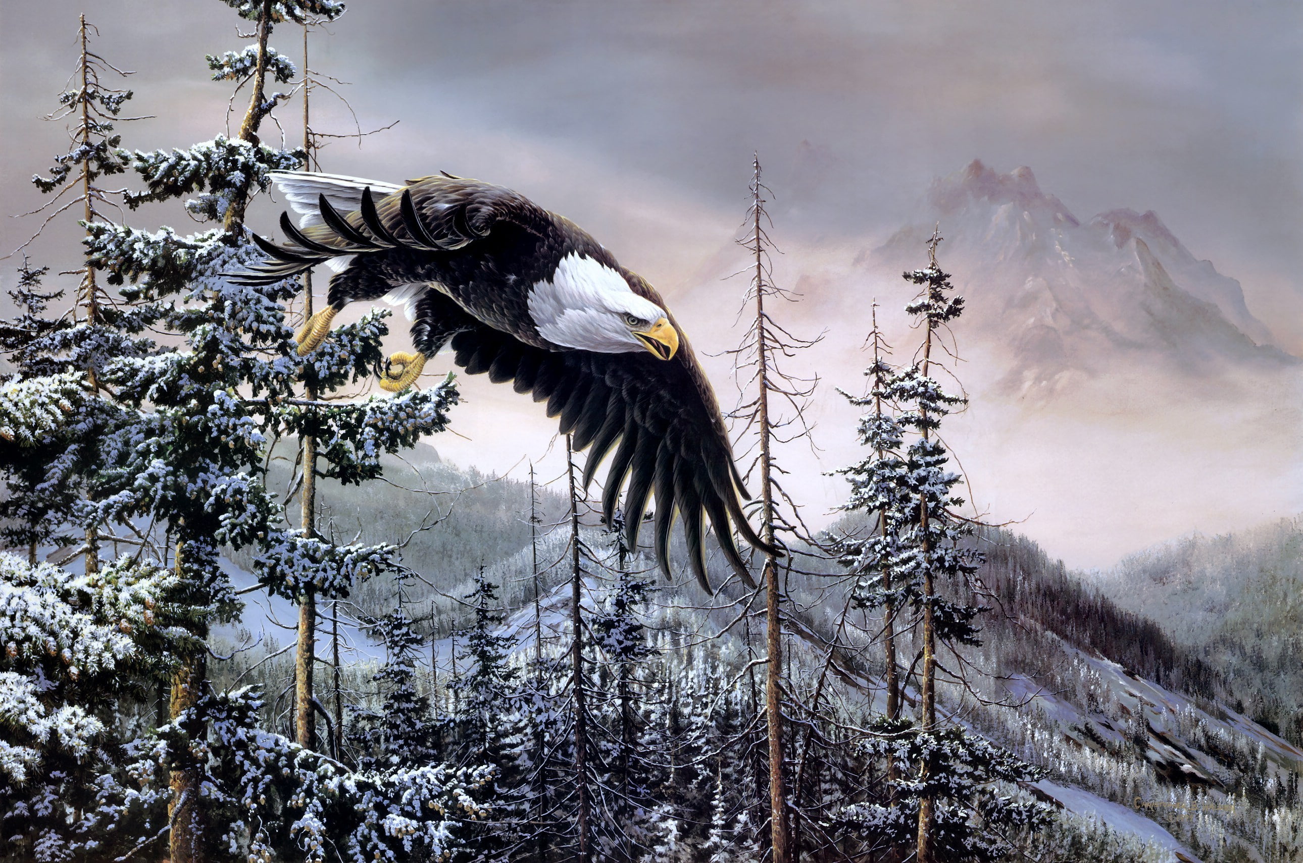 Christopher B. Walden, bald eagle, painting, eagle, winter, birds, spruce, Heaven andamp; Earth, mountains, forest, 2K, HD Wallpaper