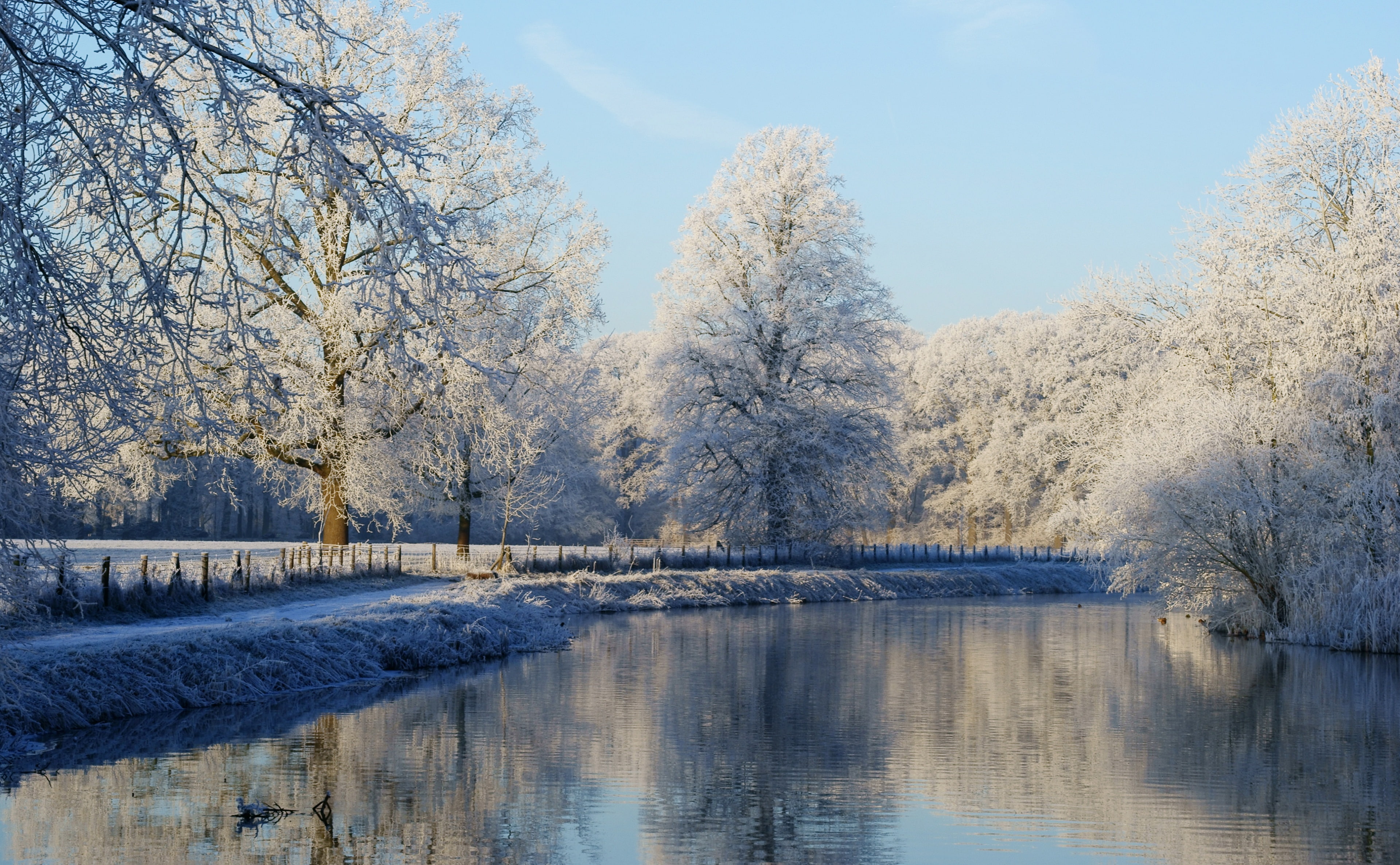 cold temperature, Rhijnauwen, water, River, Photography, Frost, Holland, no people, Nature, Winter, tree, Frosty, Reflections, Landscape, Crooked Rhine, HD Wallpaper