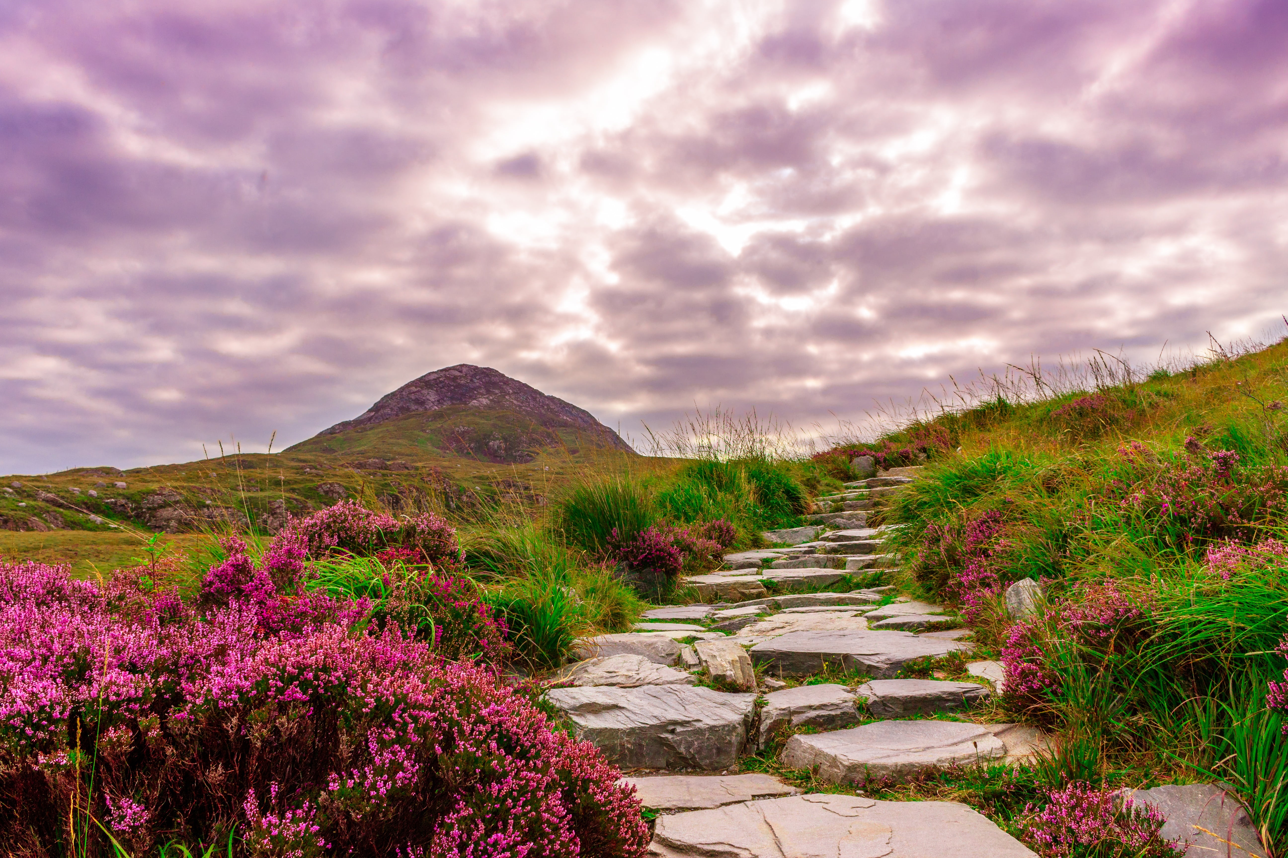 fantasy, purple, nature, paradise, background image, plant, scenics - nature, steinweg, travel destinations, away, mood, tranquility, no people, mountain, HD Wallpaper