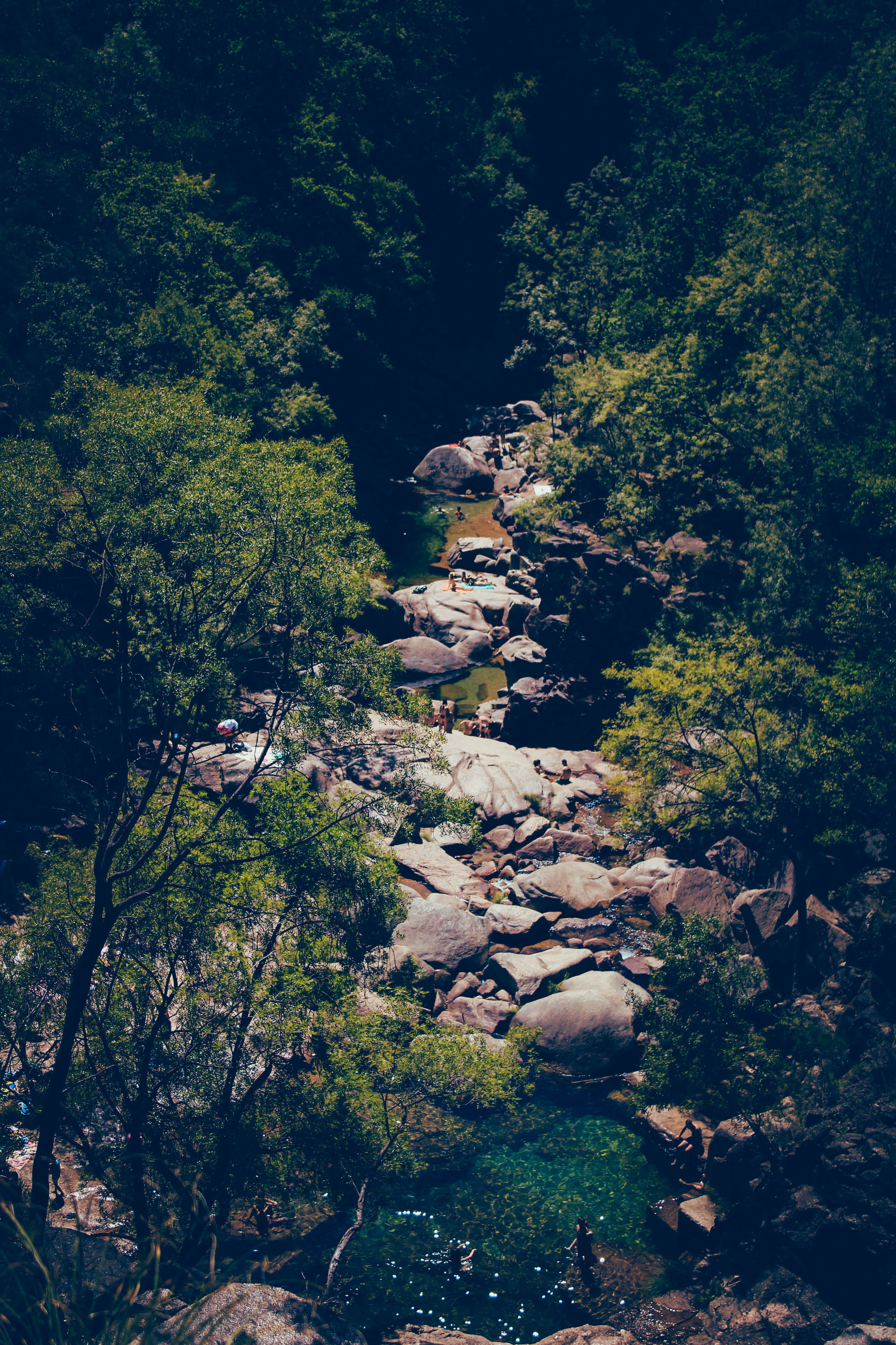 scenics - nature, outdoors, woodland, peneda-gerês national park, growth, high angle view, rock - object, trees, tree, tranquility, no people, green color, Phone HD Wallpaper
