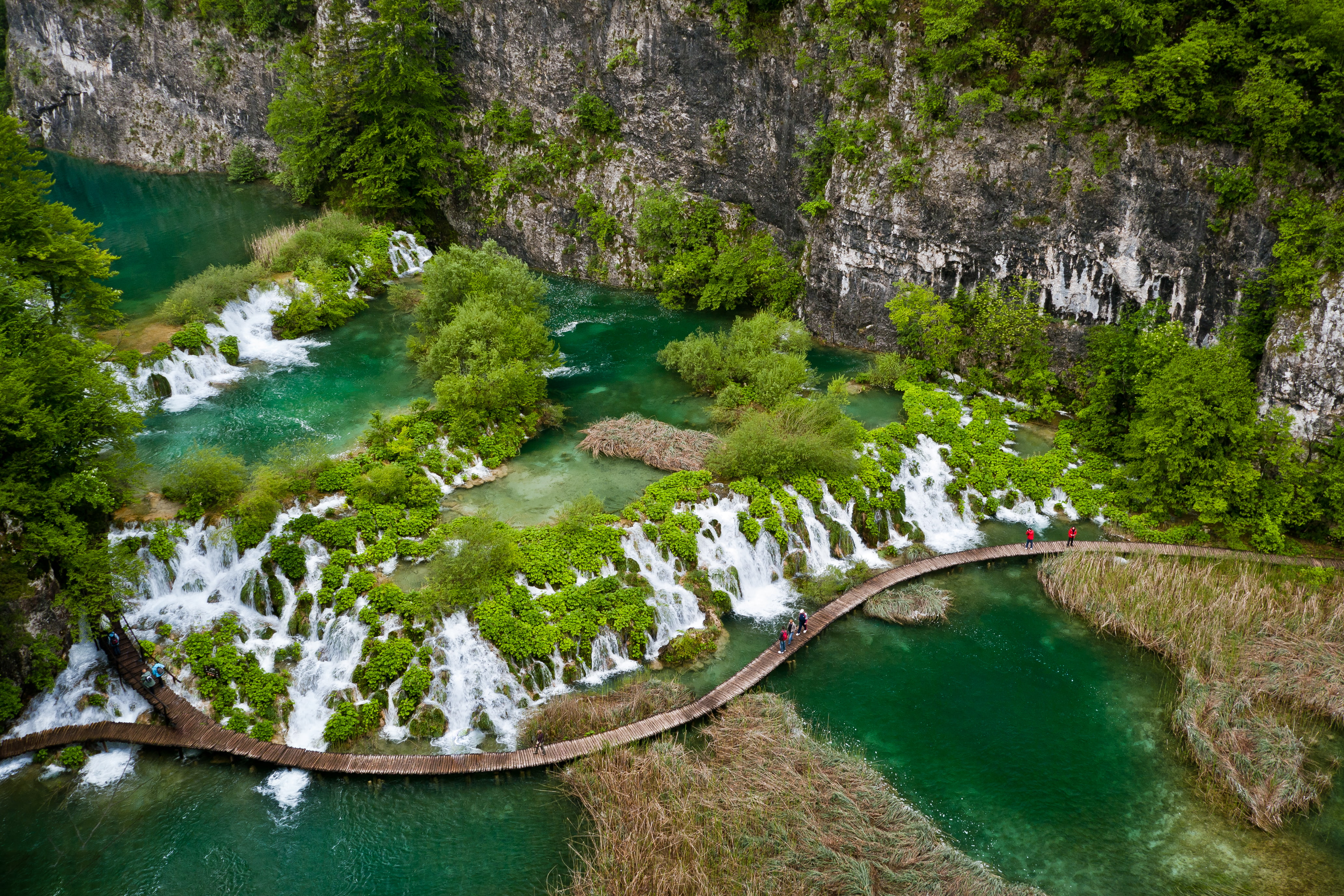rock, trees, 4K, water, waterfall, tropics, body, lake, the bridge, green, Landscape, greens, Plitvice Lakes, Croatia, Natur, National Park Plitvice, green Paradise, HD Wallpaper