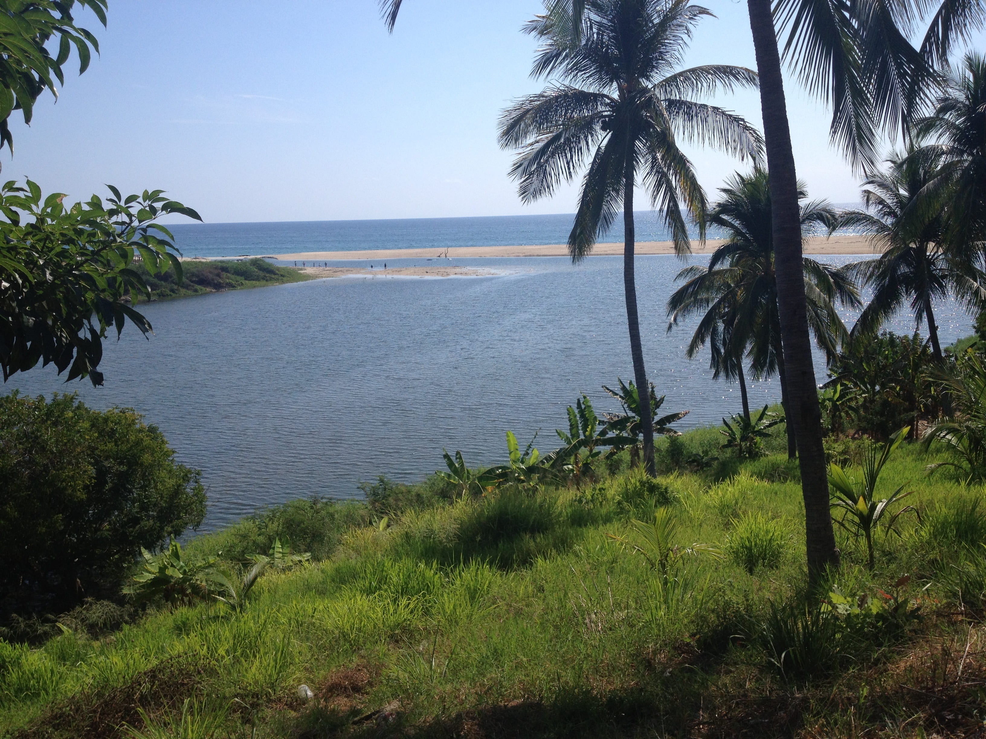 landscape, palms, tranquility, scenics - nature, holiday, cocos, river, no people, rest, wild flowers, growth, garden, tropical climate, green, pond, sky, HD Wallpaper