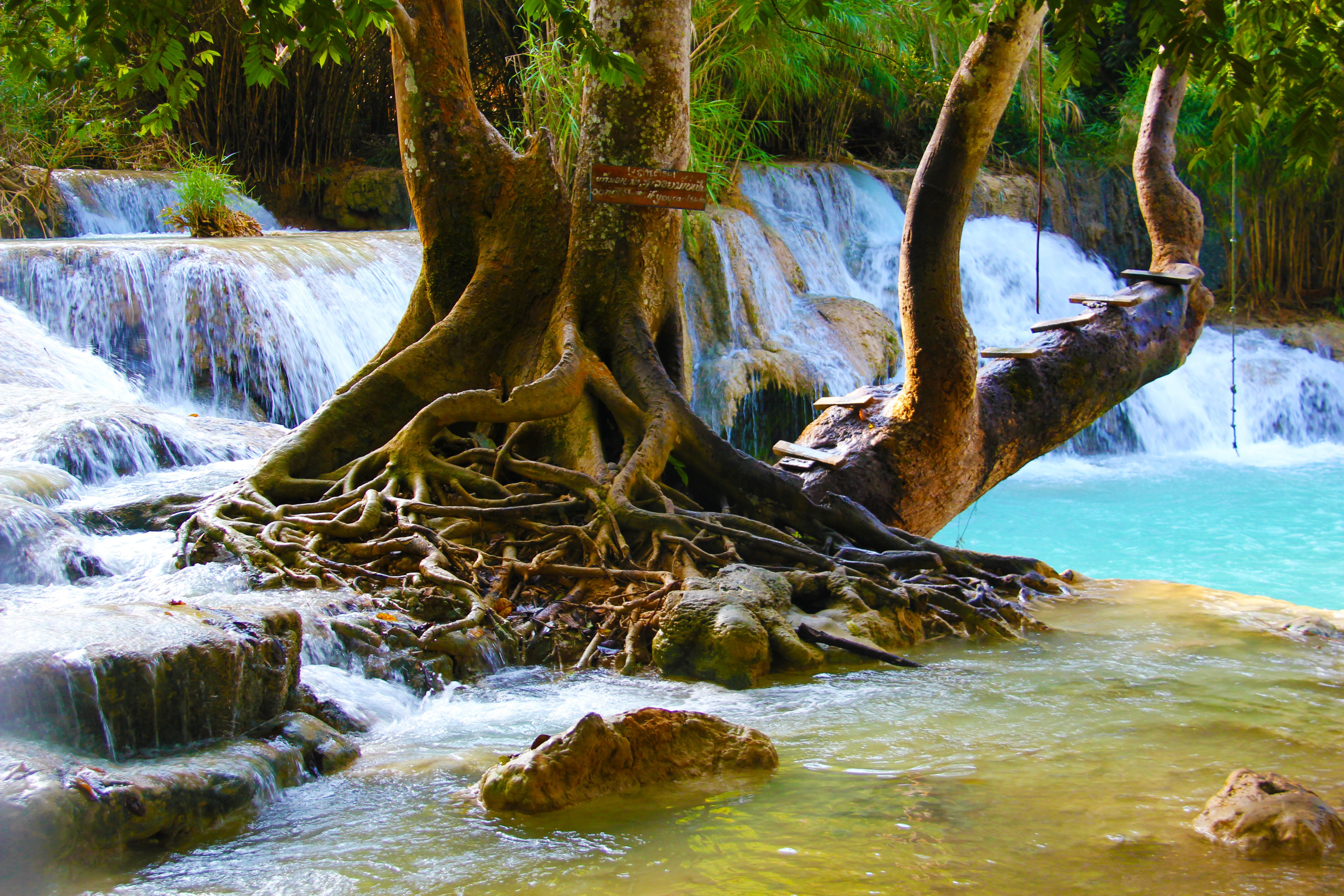 green, tropical, rock, wild, motion, 5K, fresh, jungle, scenic, paradise, land, fall trees, nature, fall, travel, day, outdoors, tree trunk, waterfall, HD Wallpaper
