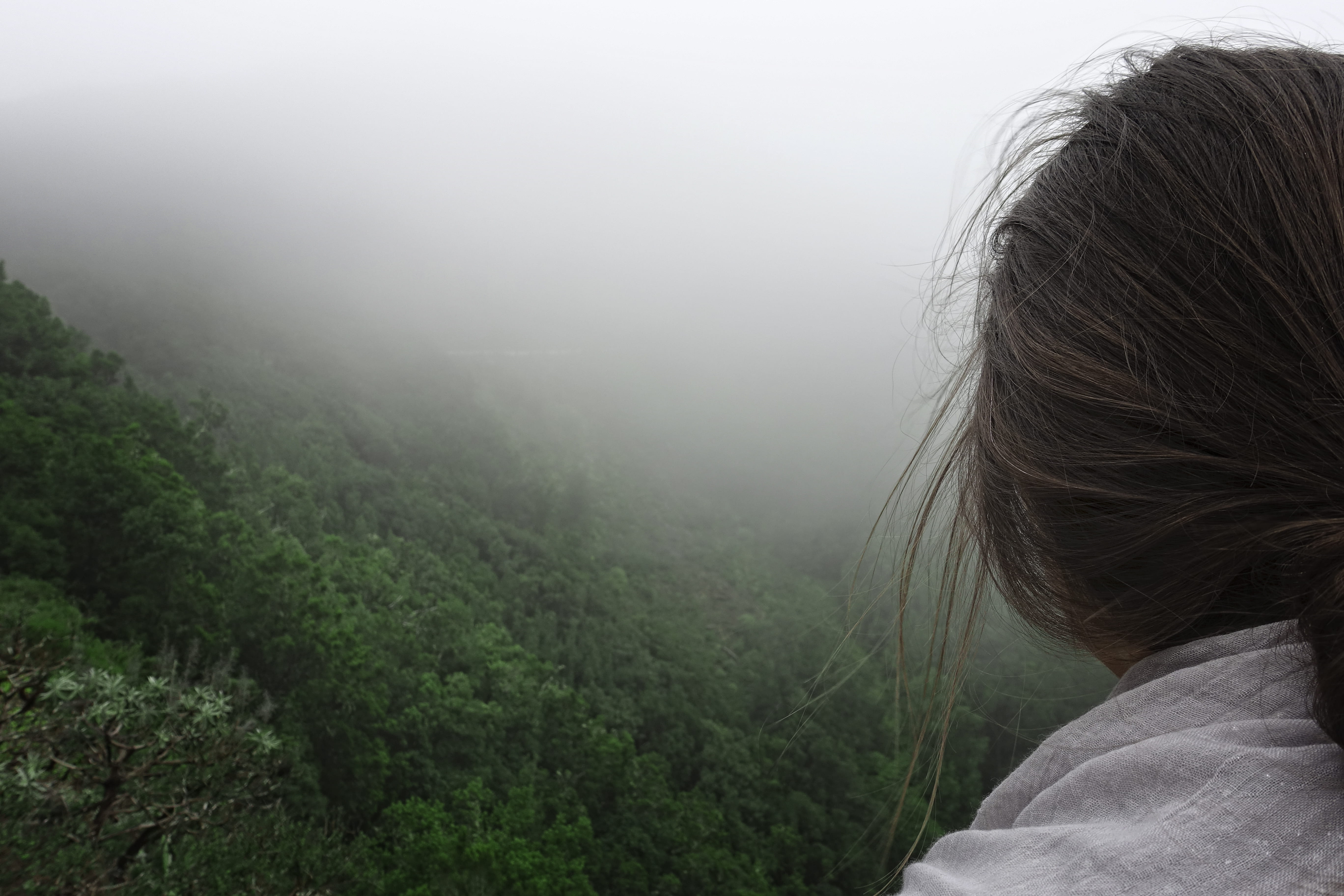 weather, nature, rear view, one person, clouds, real people, headshot, human, parque nacional de garajonay, hair, adult, forest, hairstyle, fog, portrait, HD Wallpaper