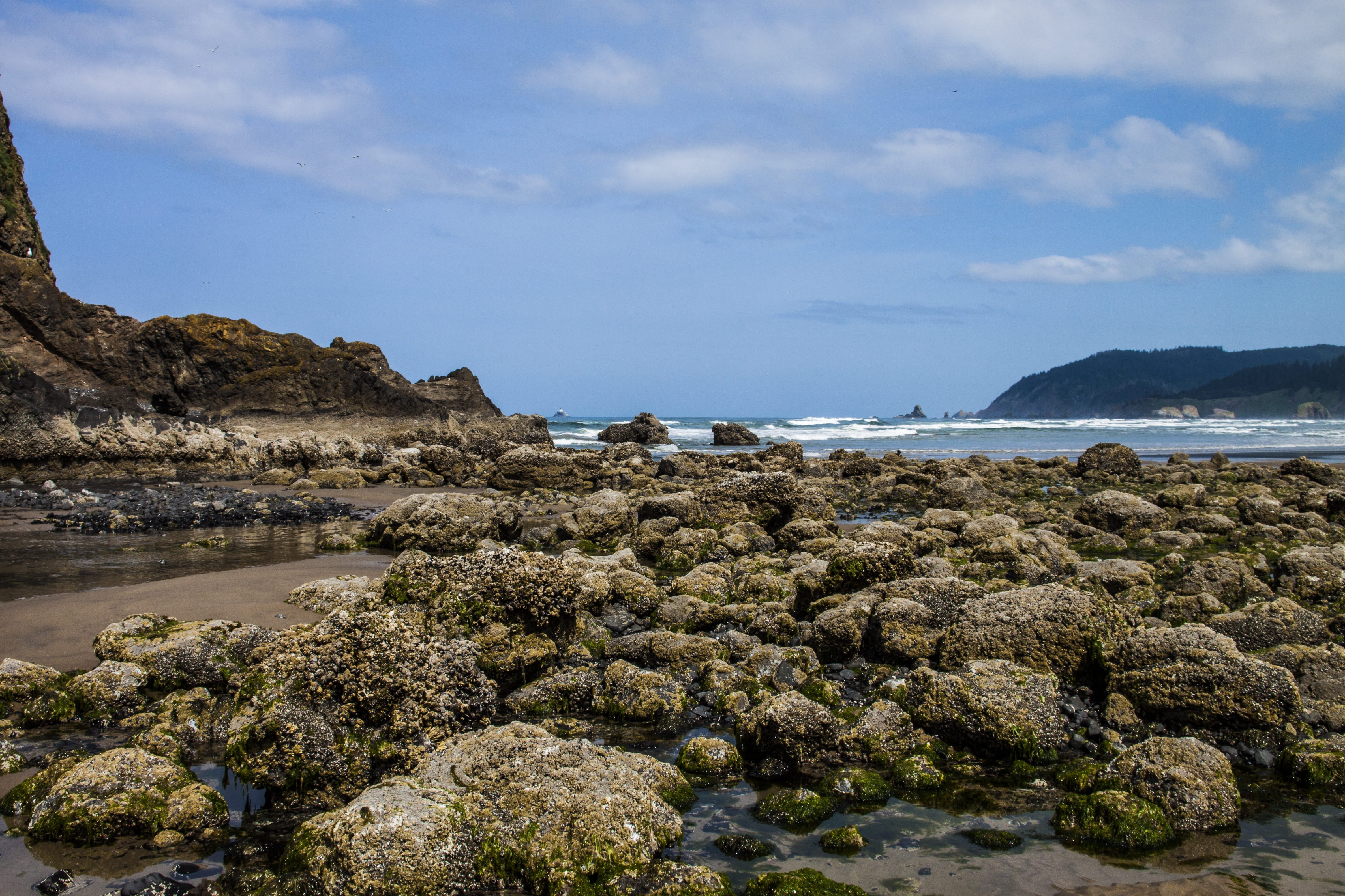 travel, Tidepools, coast, sand, nature, pacific, sky, rock, bay, no people, scenics - nature, waves, rock formation, outdoors, surf, rocky coastline, day, HD Wallpaper