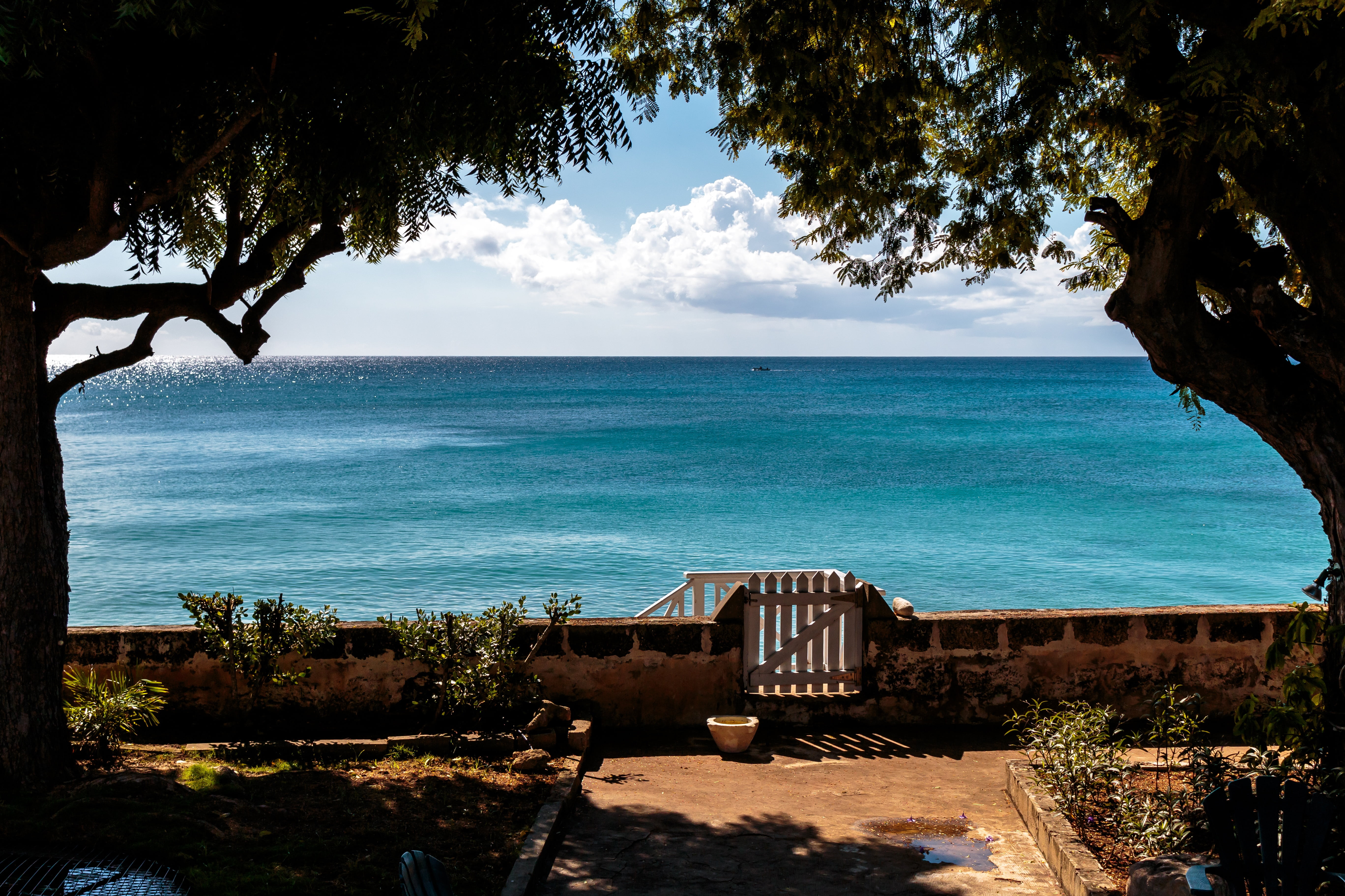 green, tree, beach gate, no people, water, barbados, daytime, nature, atlantic ocean, sky, scenics - nature, growth, day, plant, leafed, outdoors, beauty in nature, HD Wallpaper