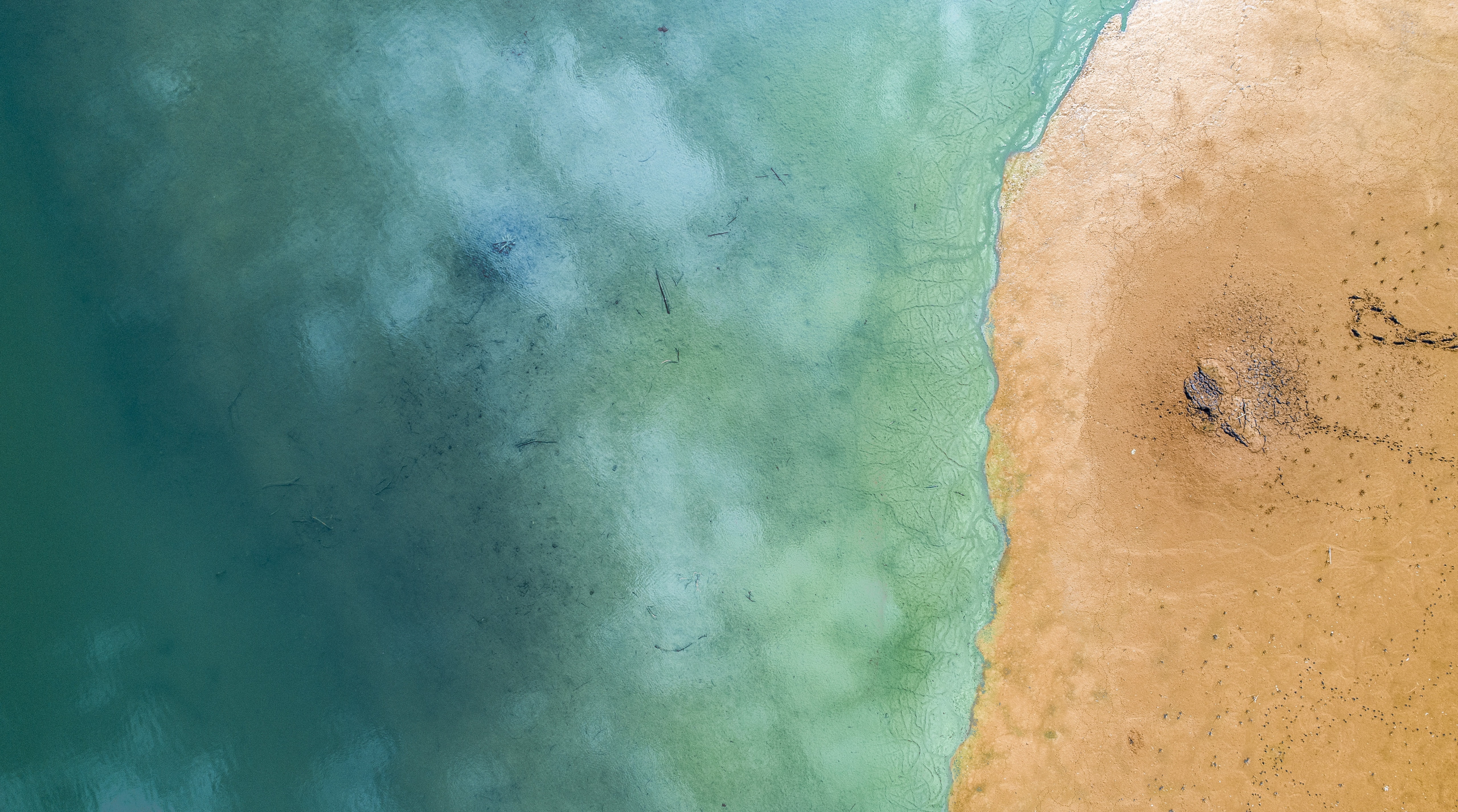 outdoors, tranquility, seawater, ocean, Summer, aerialview, aerial view, 5K, visit, Beach, View, scenics - nature, animal, beauty in nature, DroneAerialPhotography, HD Wallpaper