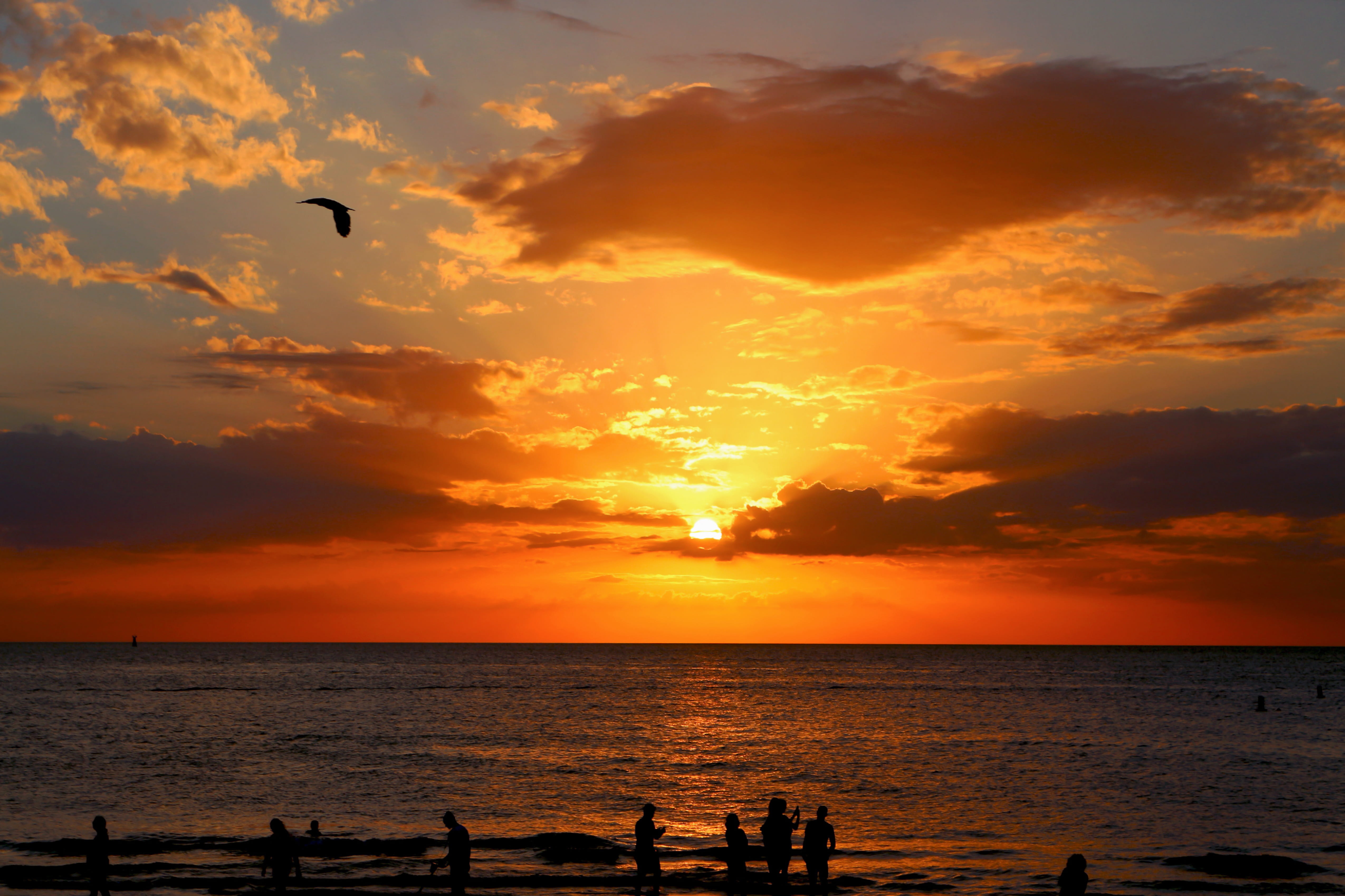 horizon, orange color, group of people, sun, scenics - nature, 4K, outdoors, beach, shoreline, tranquility, land, idyllic, people, silhouette, tranquil scene, HD Wallpaper