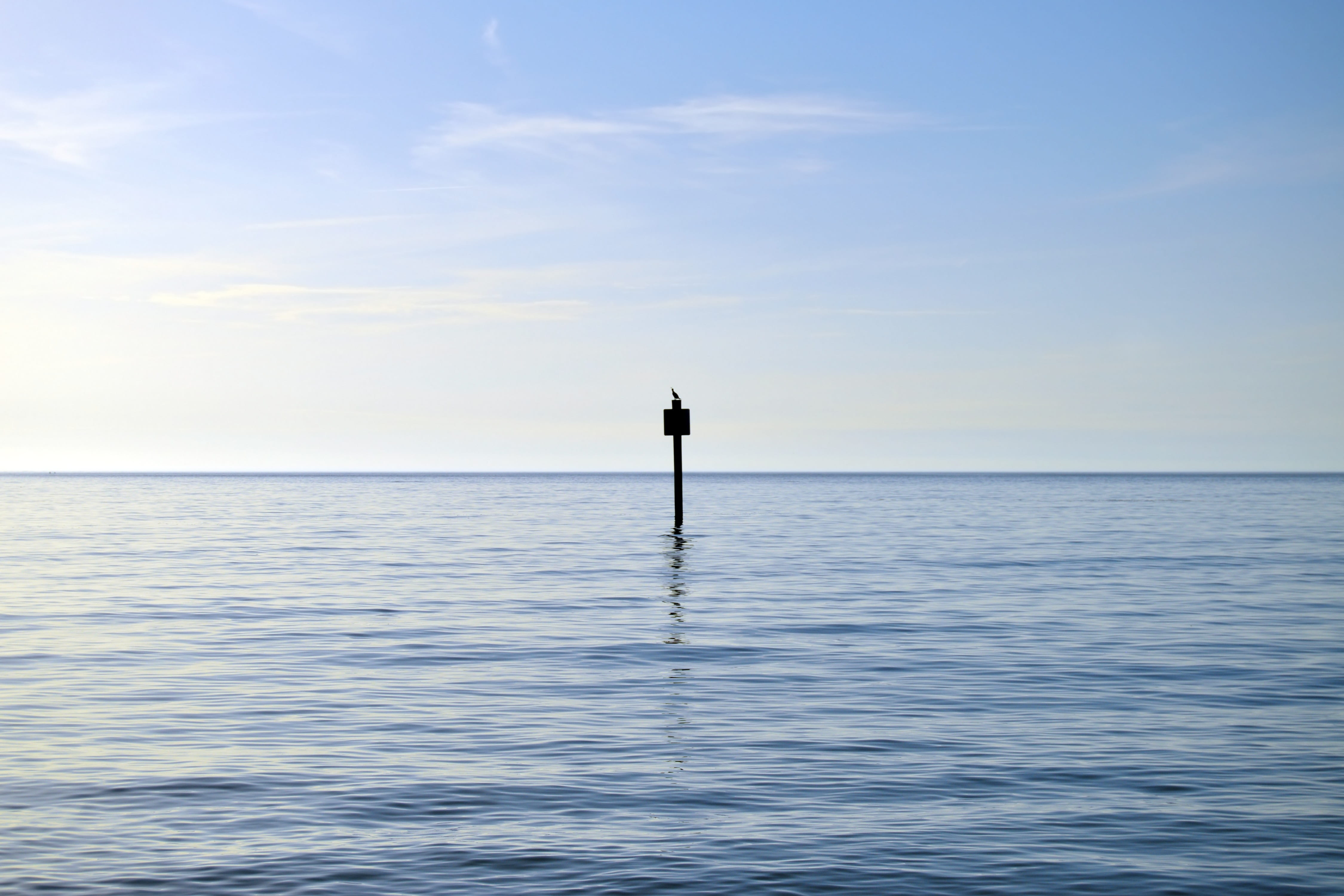 waterfront, horizon over water, nature, scenic, sky, paradise, scenics - nature, clearwater, colorful, bird, tranquil scene, clearwater beach, idyllic, HD Wallpaper