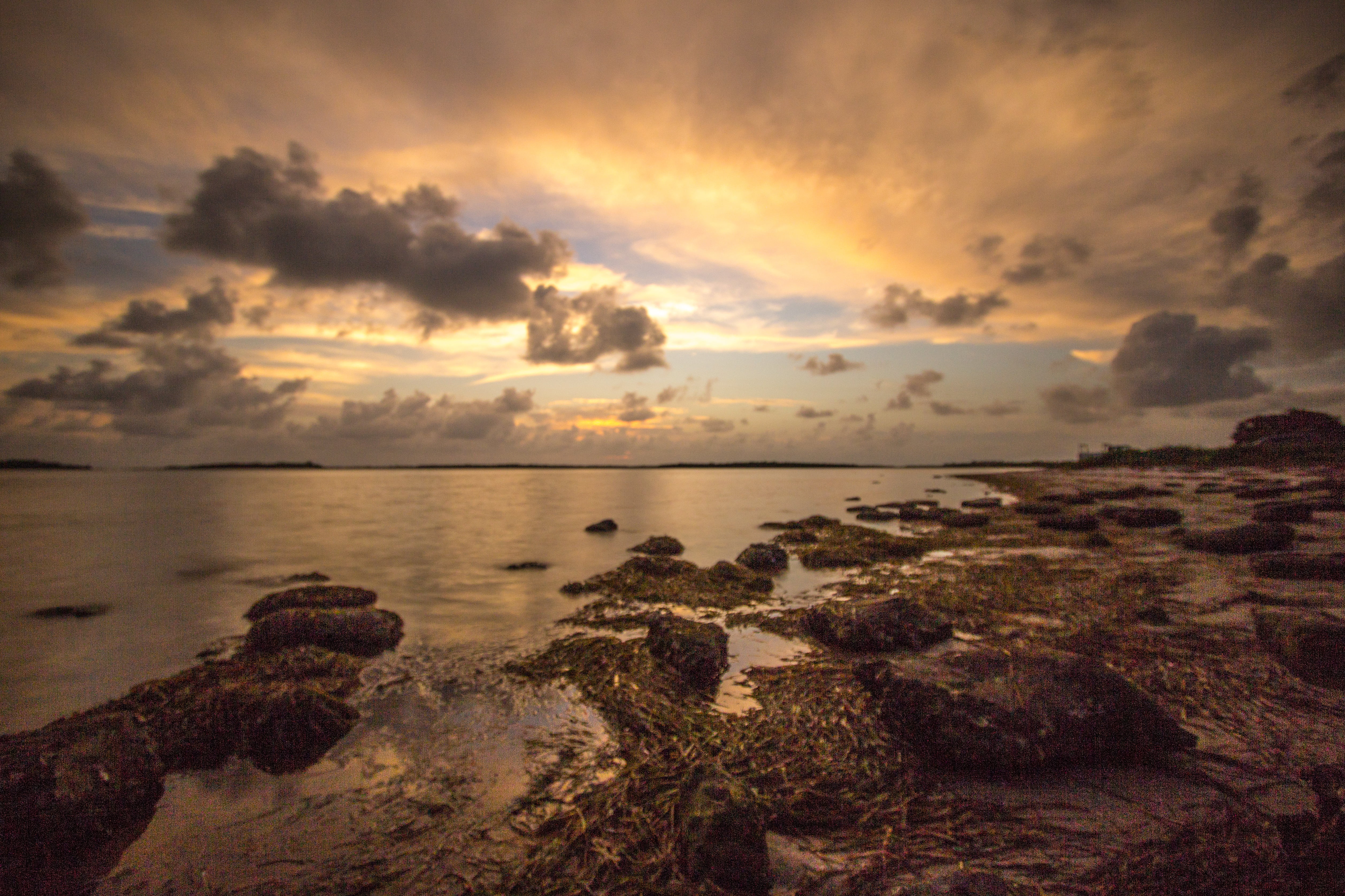 nature, sun, coastline, 4K, Largo, sunlight, water, tourist, seascape, Canon, Pinellas, sunset, dusk, cloud - Sky, Jim Robinson, beach, beauty In Nature, HD Wallpaper