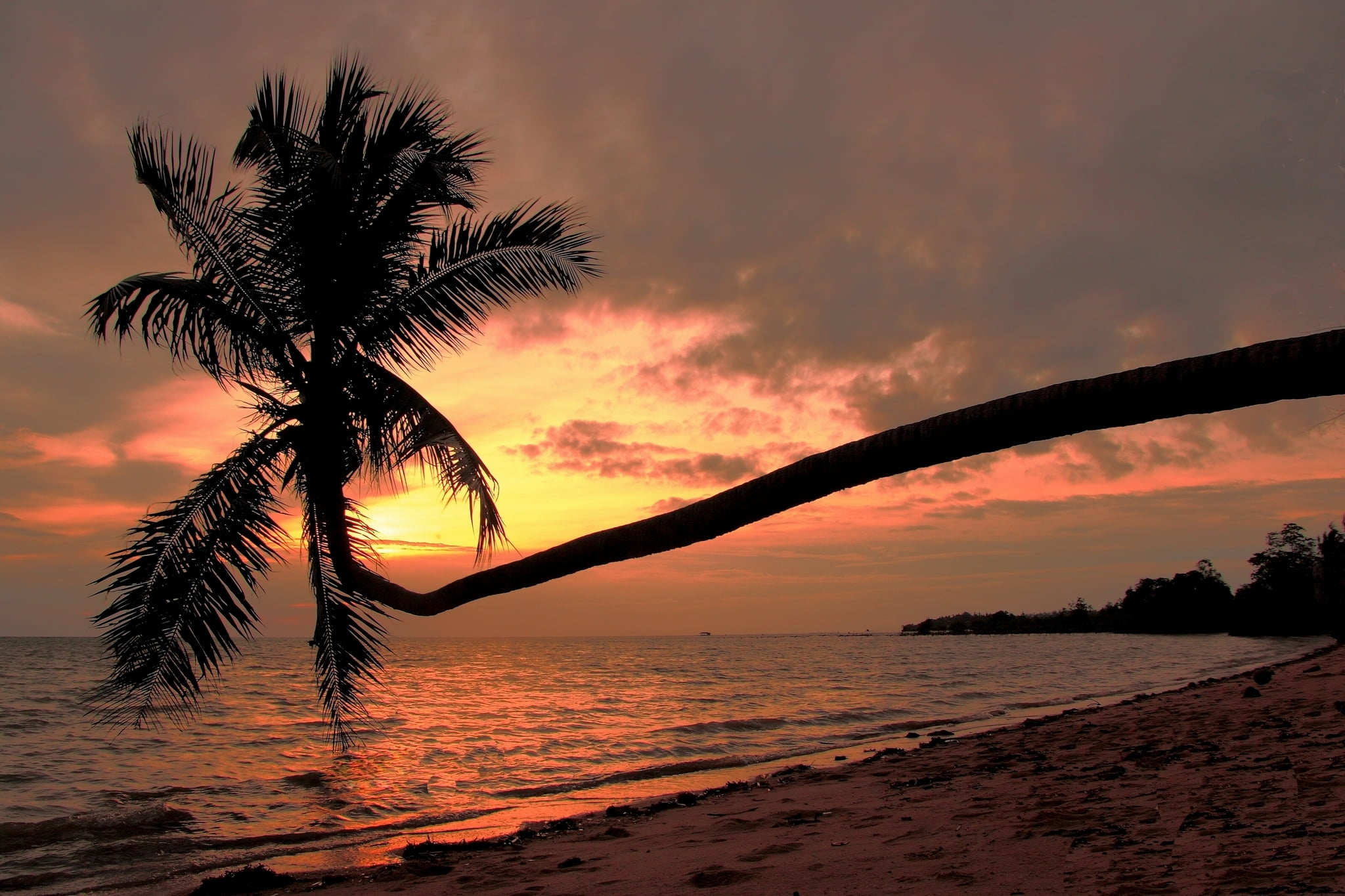 horizon over water, Gulf of Thailand, palm leaf, outdoors, water, land, orange color, beauty in nature, beach, scenics - nature, cloud - sky, tranquility, HD Wallpaper