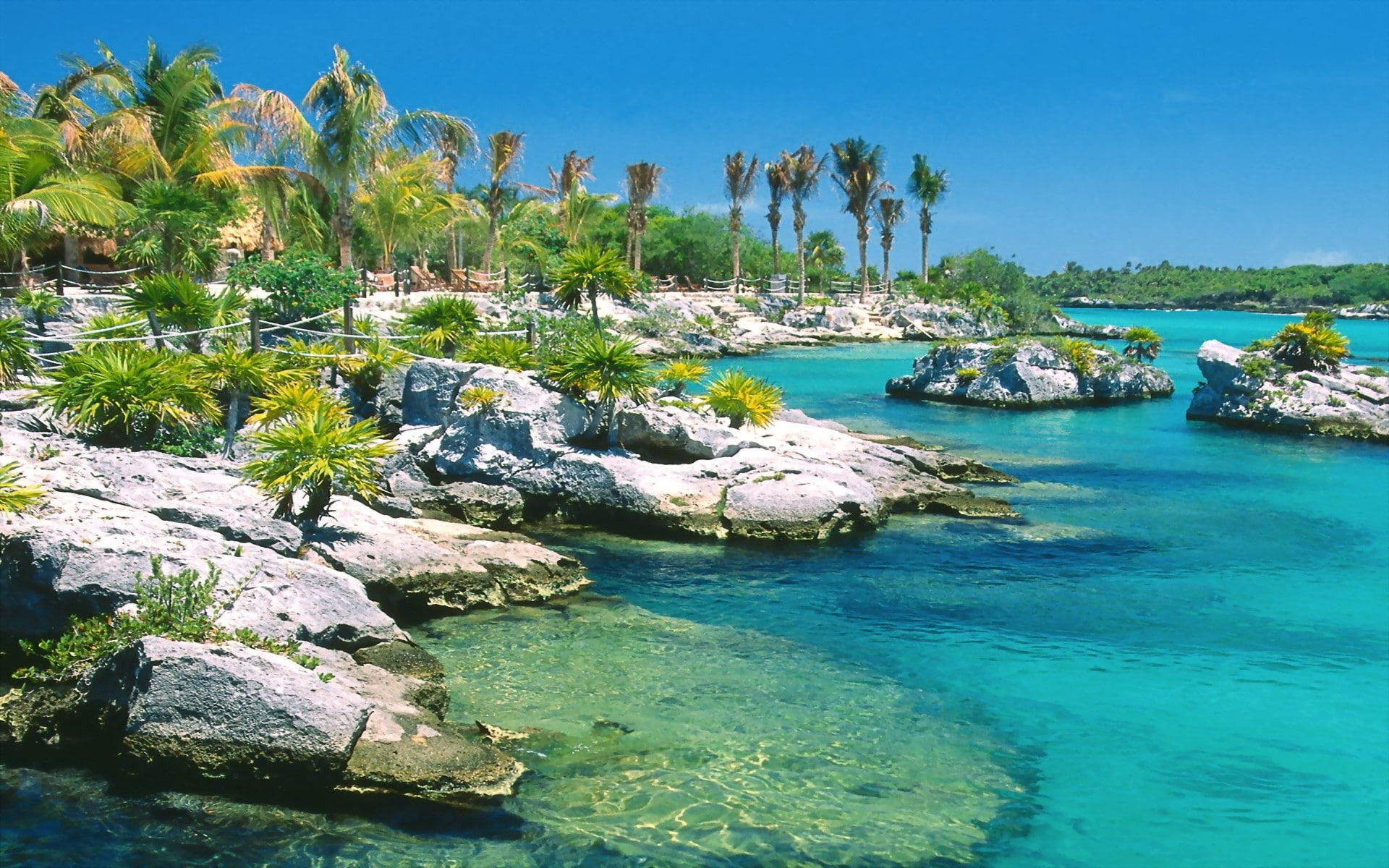 gulf, palm trees, 1080P, blue water, coast, stones, HD Wallpaper