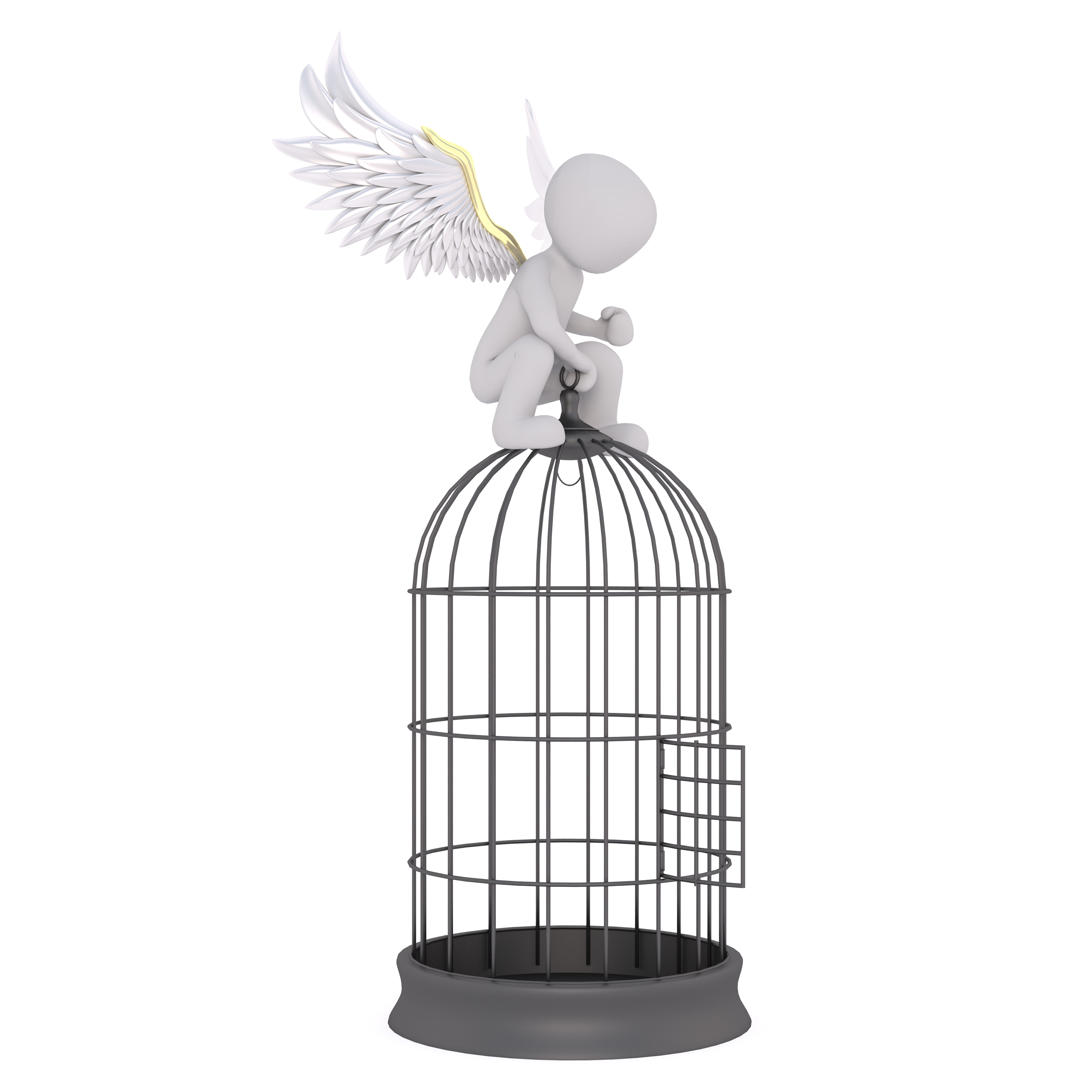 creativity, caught, 3d, photo, one animal, animal themes, full body, art and craft, studio shot, cage, 3d-model, 8K, Model, decor, bird cage, black, cut out, Phone HD Wallpaper