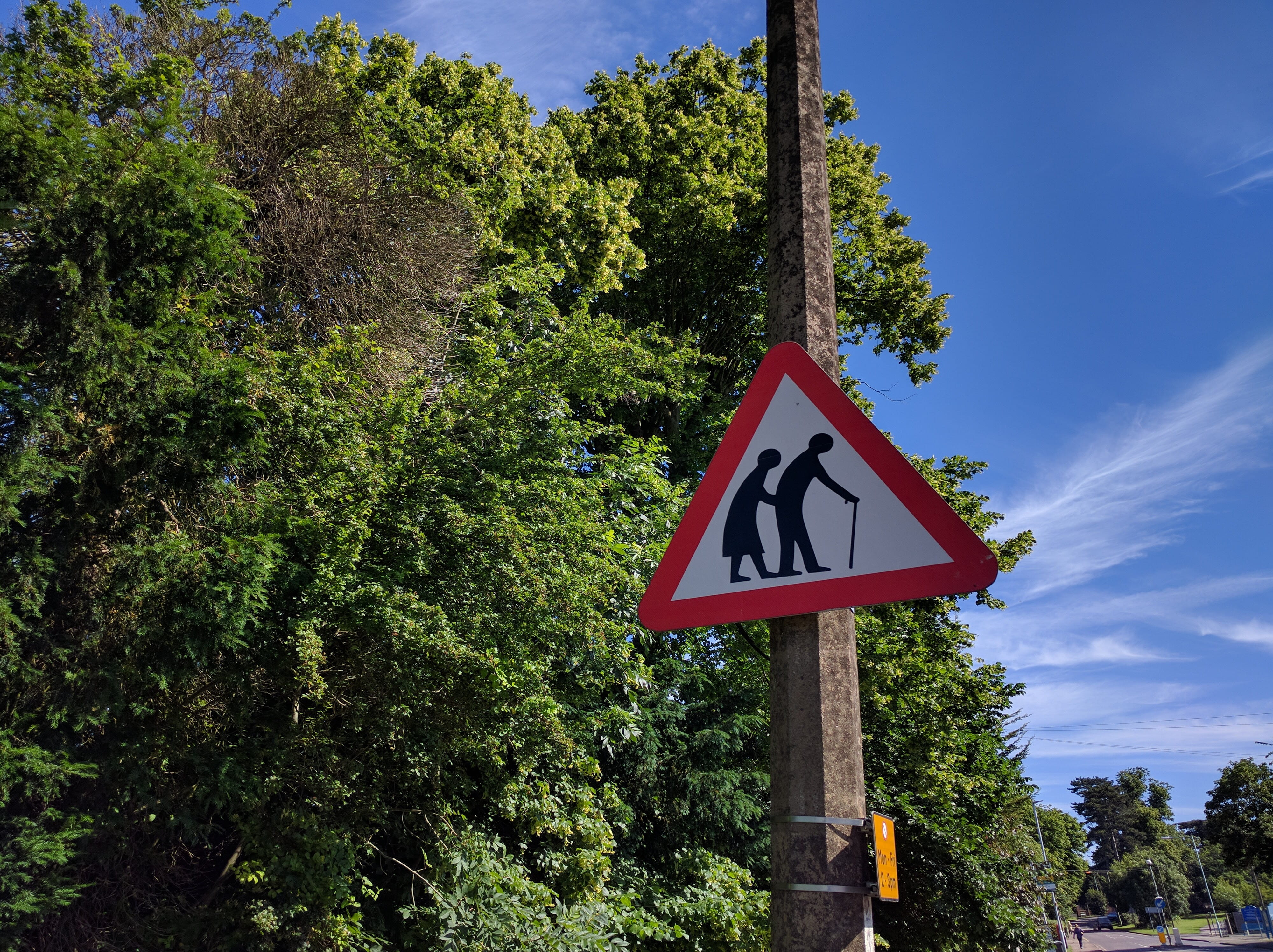 green color, photo, green, day, sky, outdoors, red, sign, warning, old couple, growth, no people, nature, funny, hertfordshire, united kingdom, warning sign, HD Wallpaper