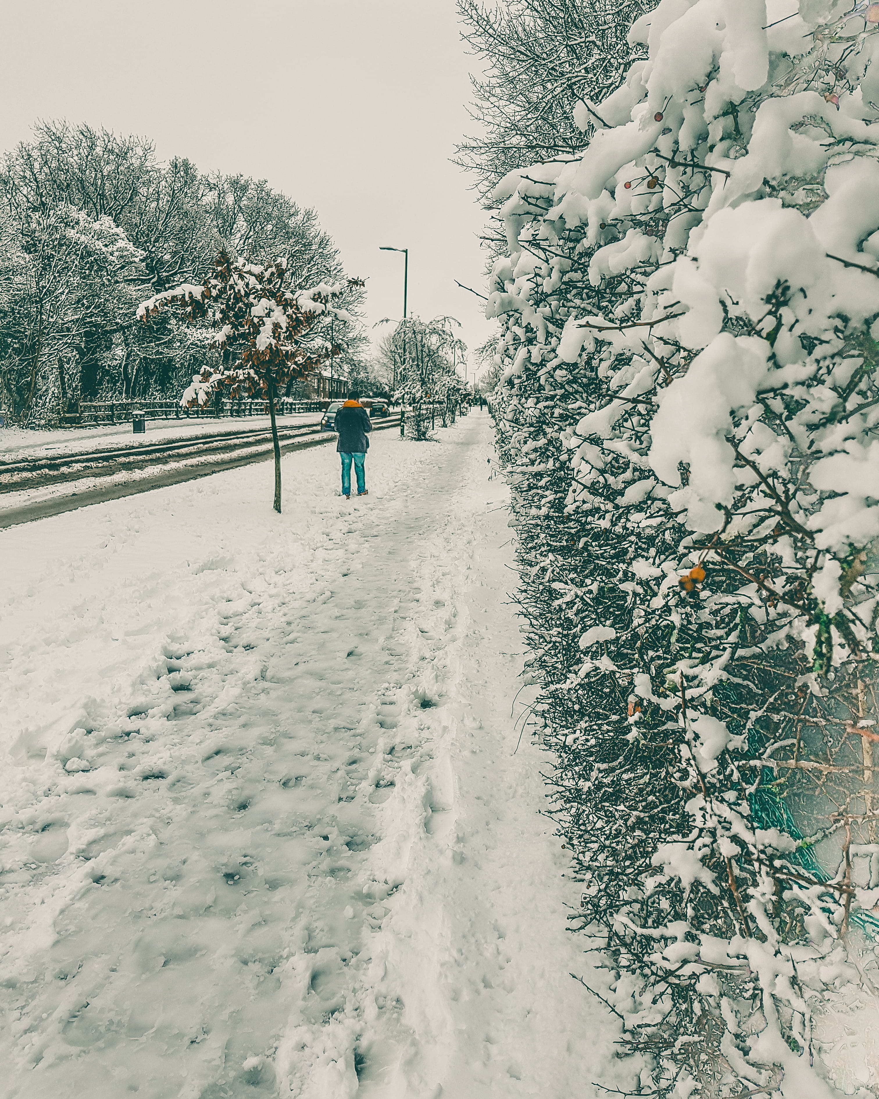 real people, hertfordshire, full length, lifestyles, snowcapped mountain, outdoors, plant, one person, field, london, warm clothing, snow, rear view, covering, Phone HD Wallpaper