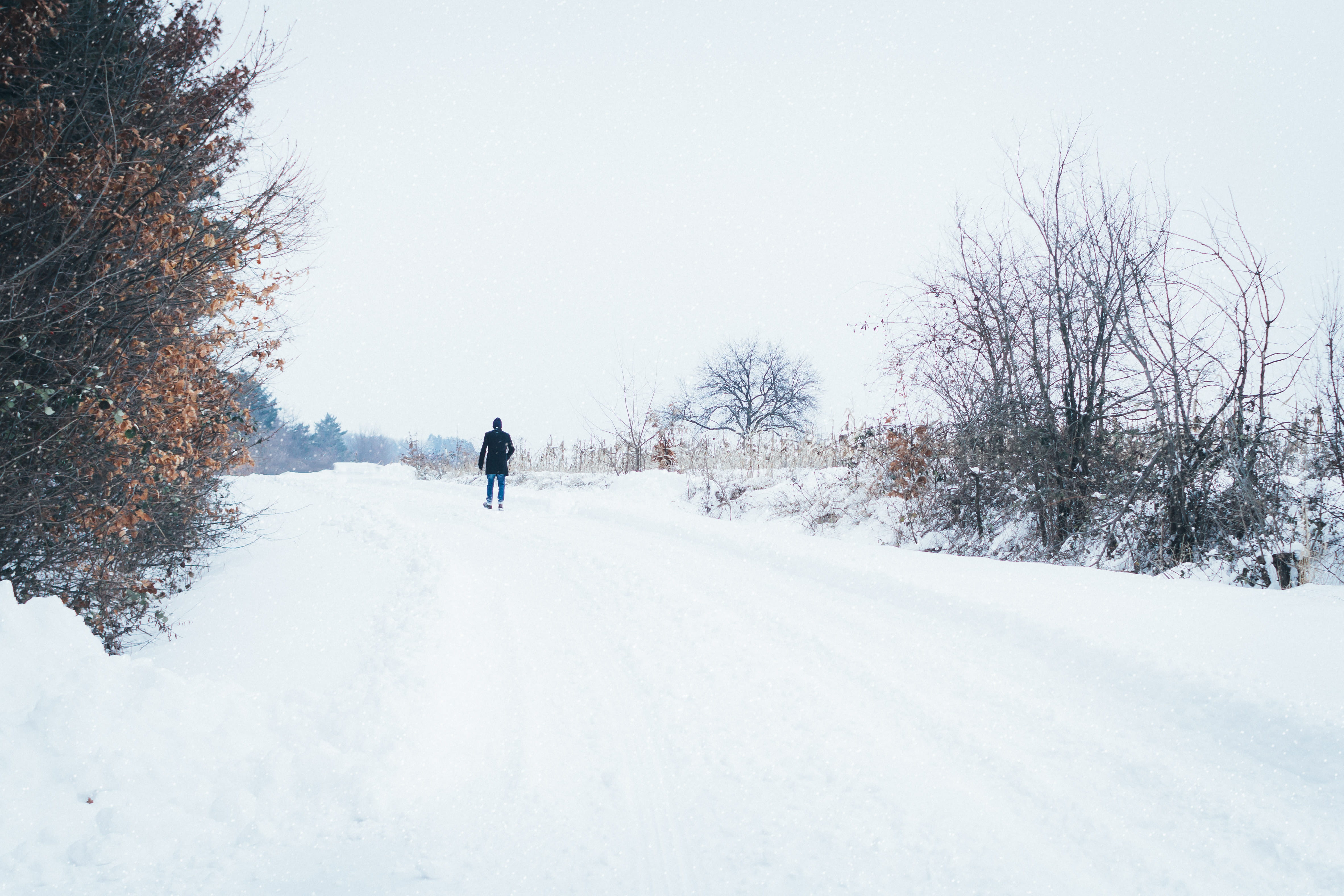 person, landscape, full length, white color, snowstorm, dirt, cold temperature, wood, road, rear view, snowy, extreme weather, scenic, trees, land, winter, HD Wallpaper