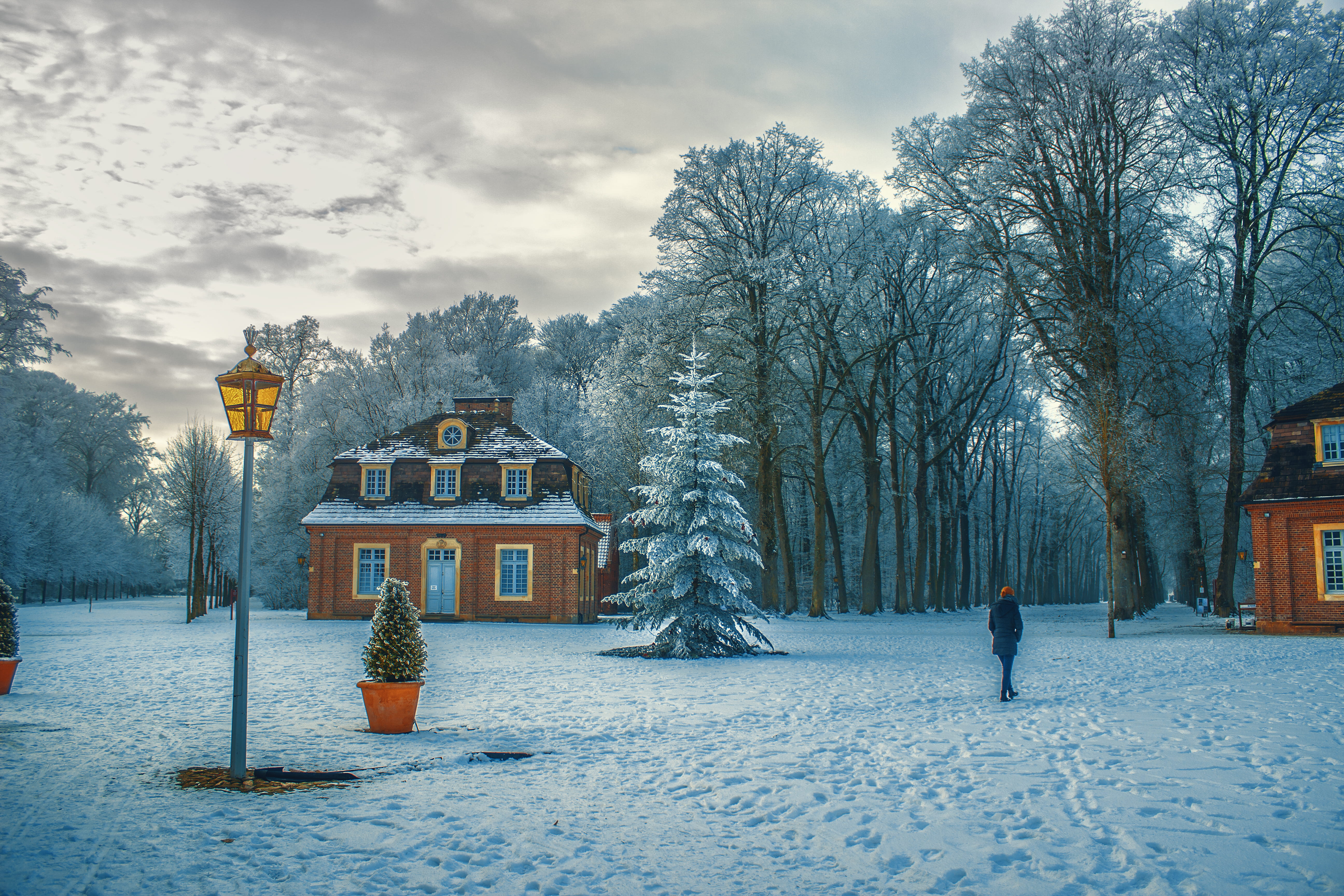 person, plant, gloomy, beautiful, road, building, walking, lamp post, built structure, lane, ice, snow, cold temperature, covering, winter, landscape, tree, HD Wallpaper