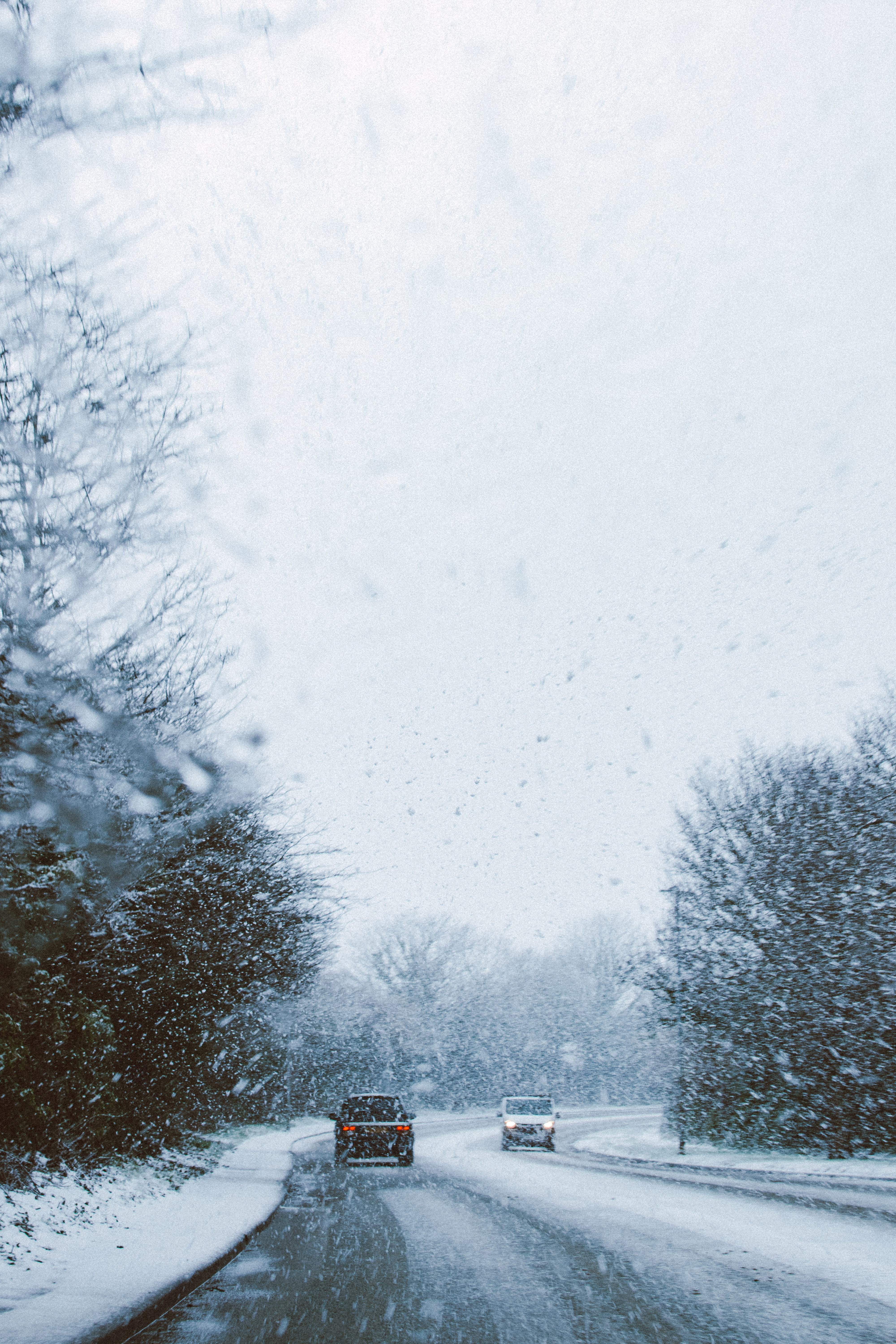 fog, wood, vehicles, season, storm, extreme weather, mode of transportation, covering, trees, car, snowing, weather, land vehicle, frozen, beauty in nature, Phone HD Wallpaper