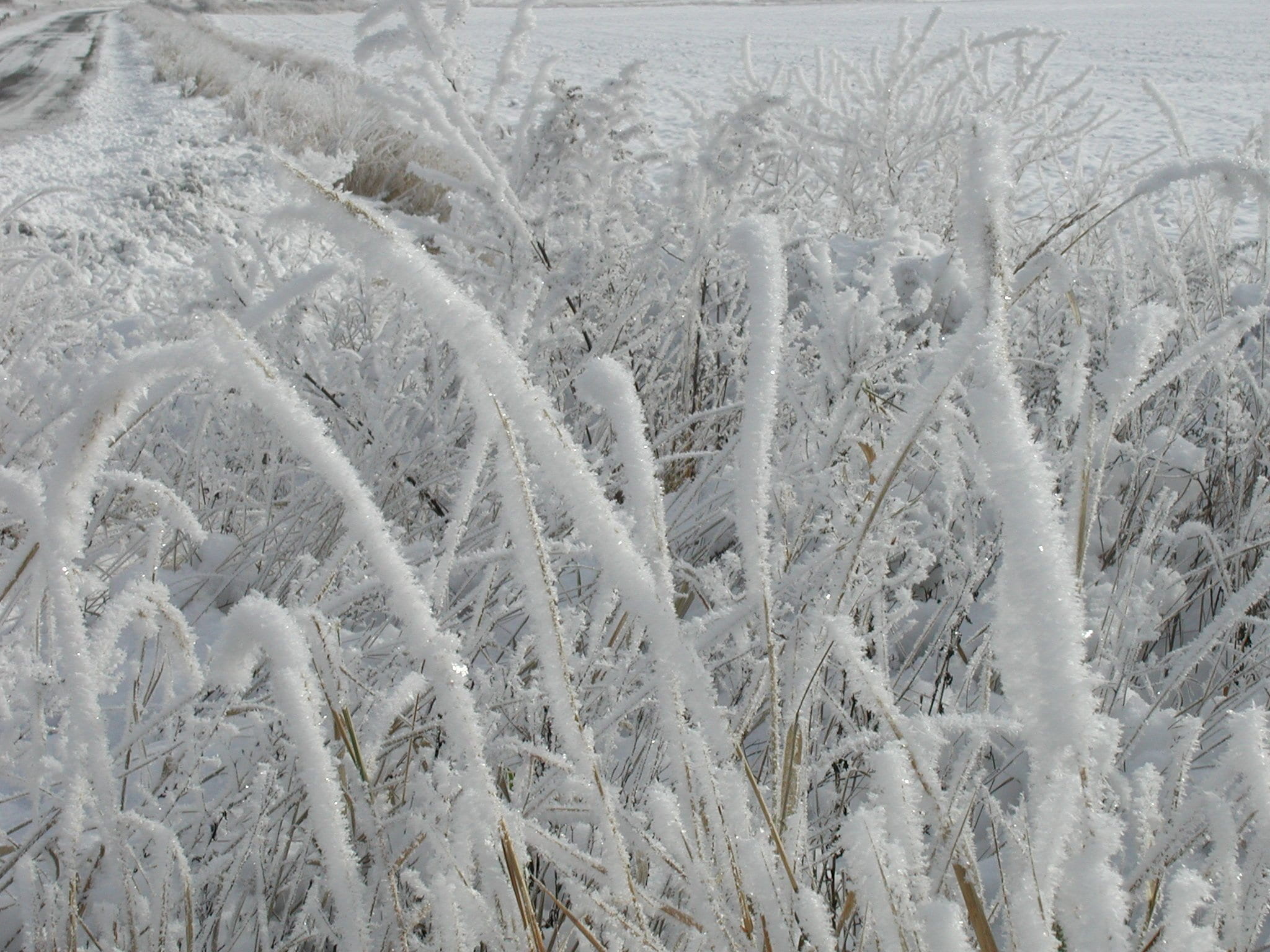 winter, 1080P, covering, backgrounds, tranquility, frost, landscape, no people, beauty in nature, land, frozen, tranquil scene, scenics - nature, environment, HD Wallpaper