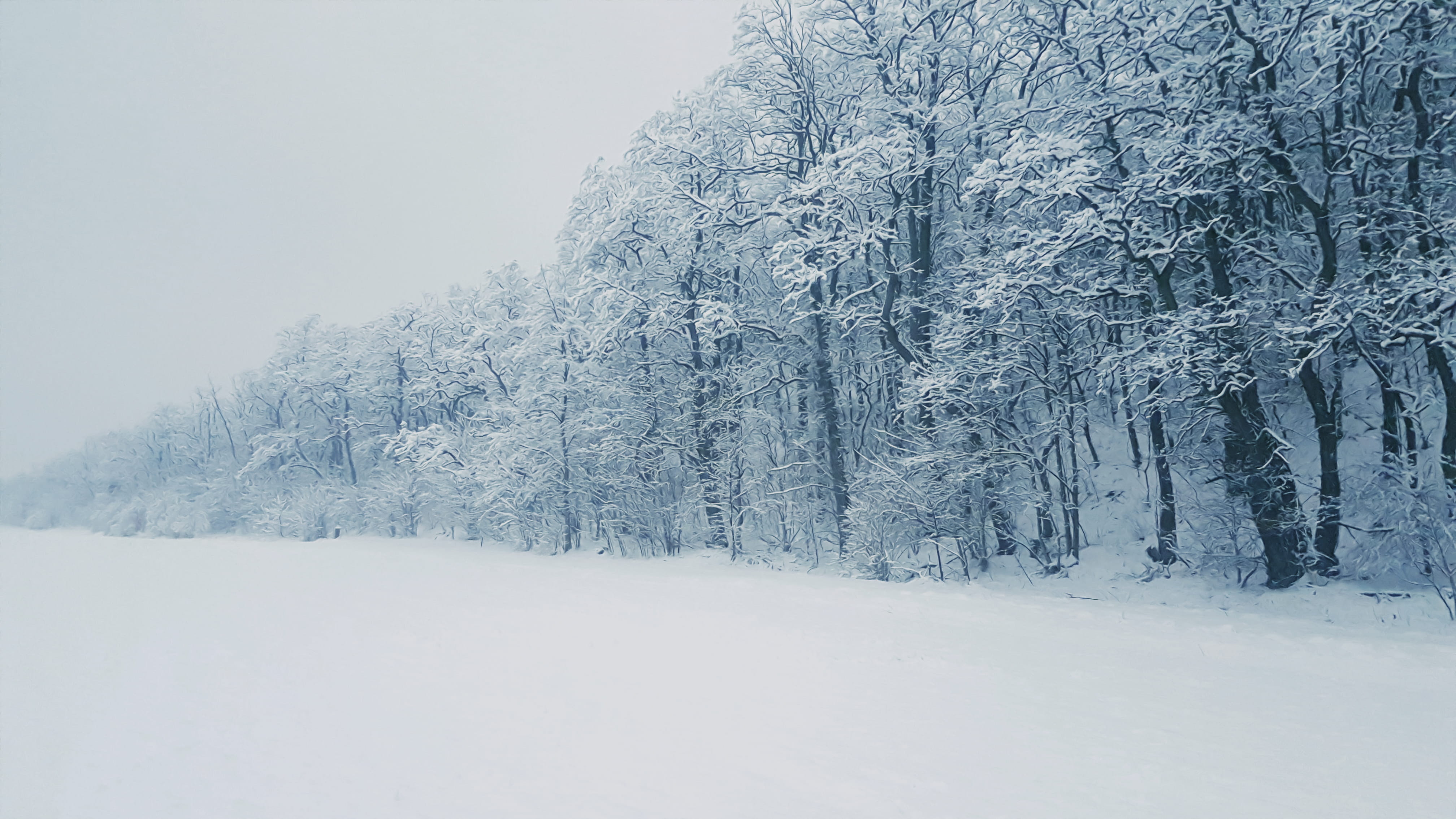 woods, landscape, zing, cold, frosty, scene, beauty in nature, mothernature, nature photography, nature, mountain, scenic, tranquility, weather, season, HD Wallpaper