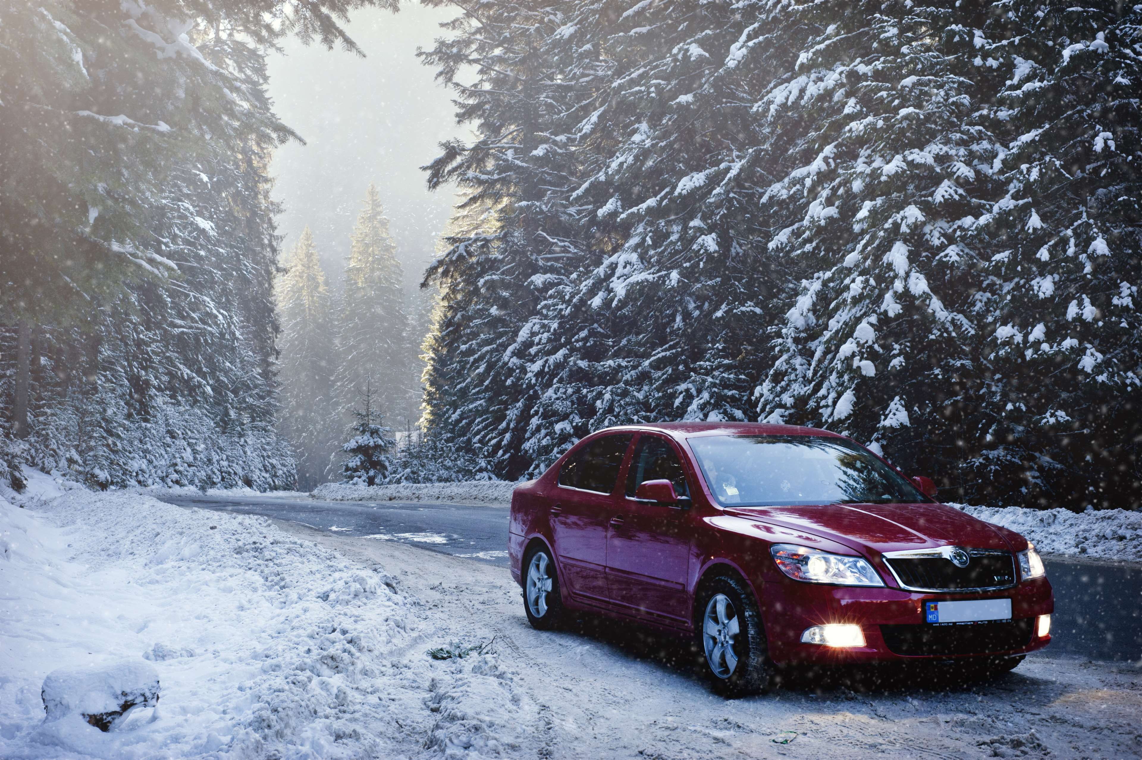 day, trees, transportation, lights, nature, winter, landscape, car, cold, 4K, frosty, outdoor, ice, road, zing, forest, white, weather, blizzard, beauty in nature, HD Wallpaper