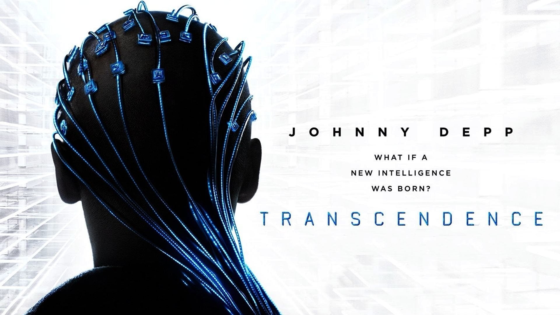 Movie, 1080P, Transcendence, HD Wallpaper