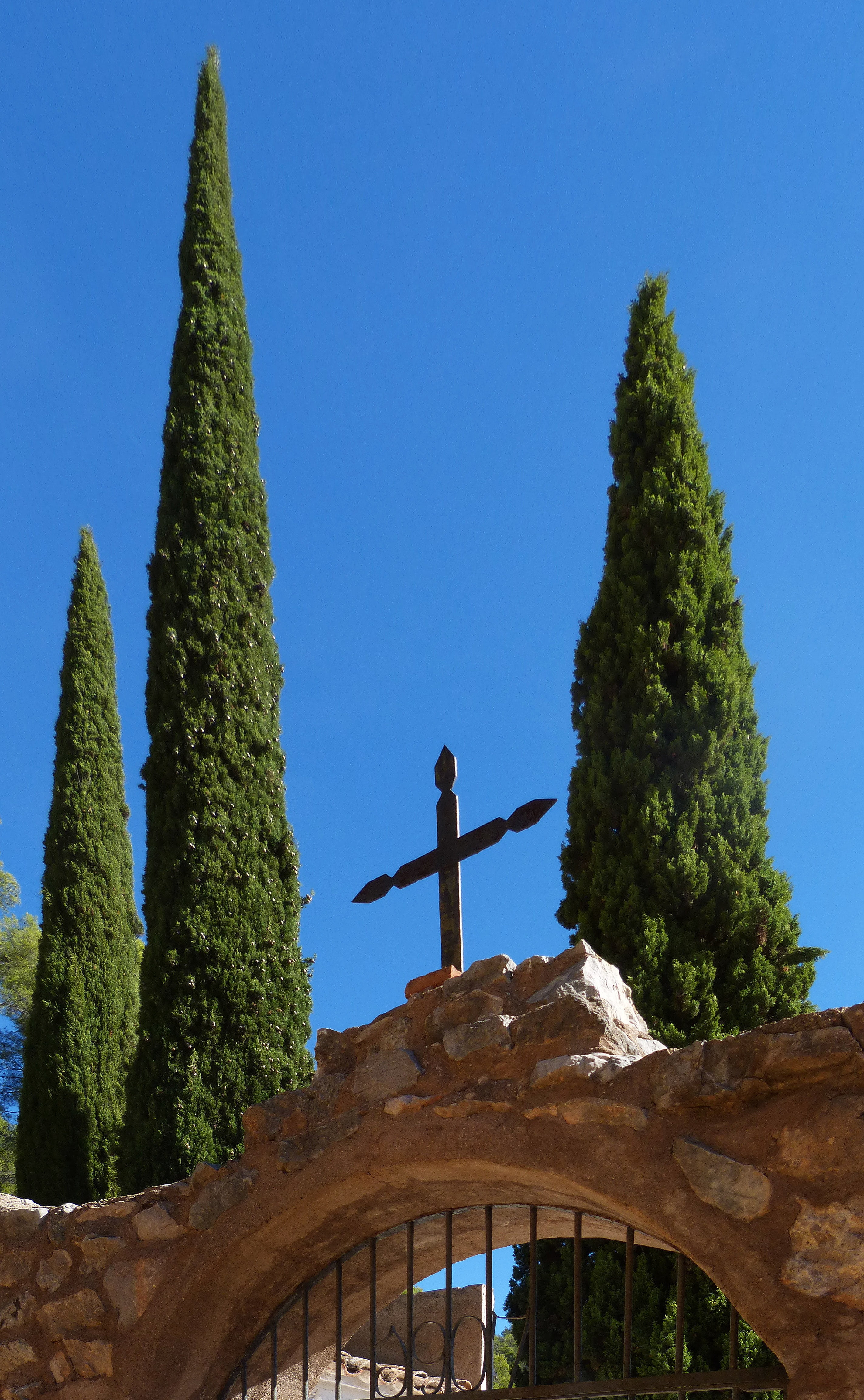 growth, cypress, green color, religious, day, blue, stone door, architecture, plant, religion, 4K, tree, sky, cross, built structure, low angle view, spirituality, Phone HD Wallpaper