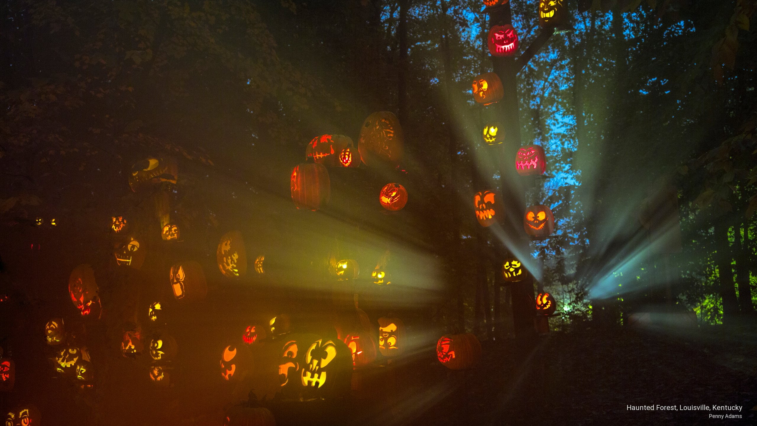 haunted, kentucky, 2K, Holidays, forest, louisville, HD Wallpaper