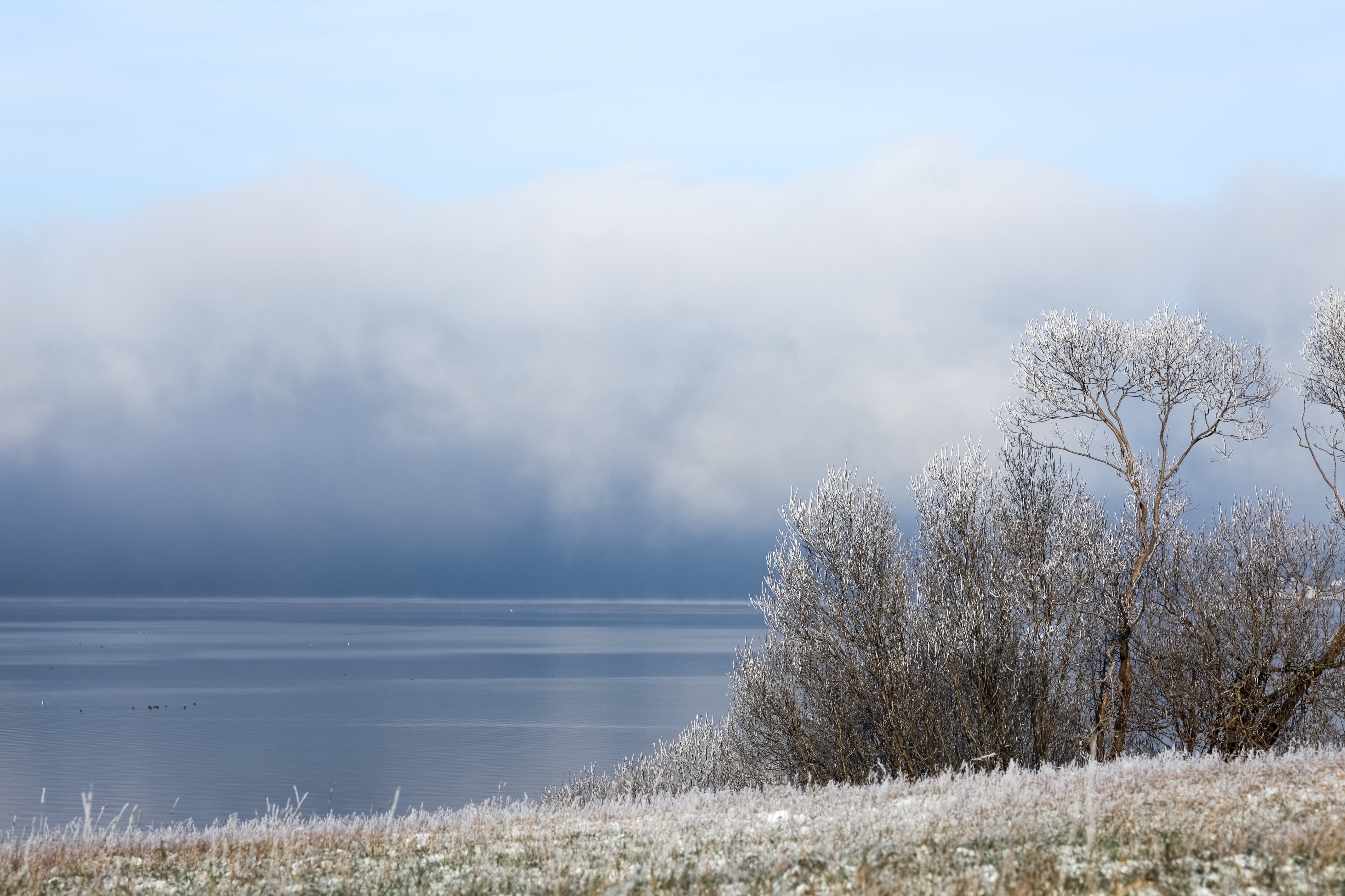 lake, beauty in nature, body, white, weather, sky, landscape, mecklenburg, trees, cloud - sky, plant, idyllic, mood, tranquility, no people, non-urban scene, HD Wallpaper