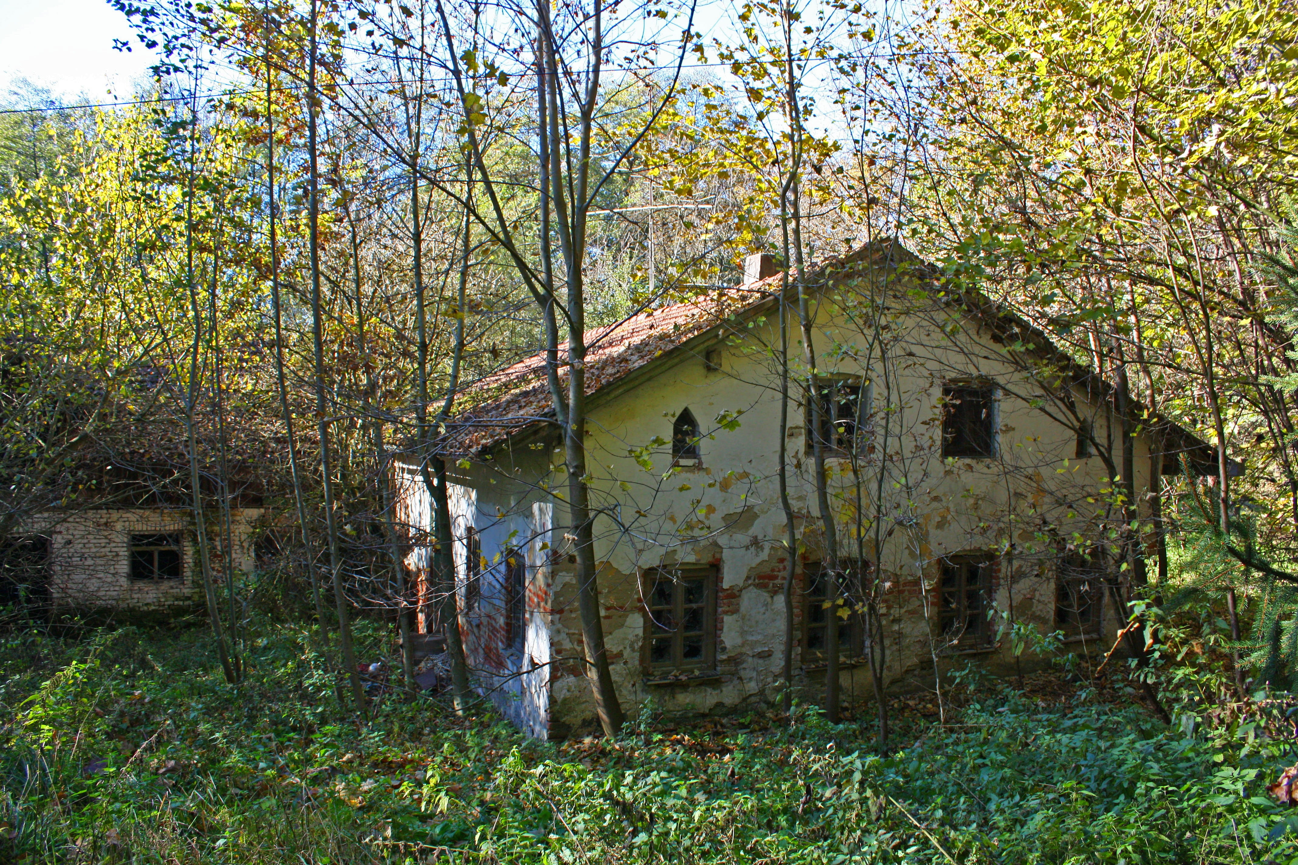day, building, residential district, haunting, ruin, abandoned, nature, tree, building exterior, witchs house, architecture, outdoors, field, forest, built structure, HD Wallpaper