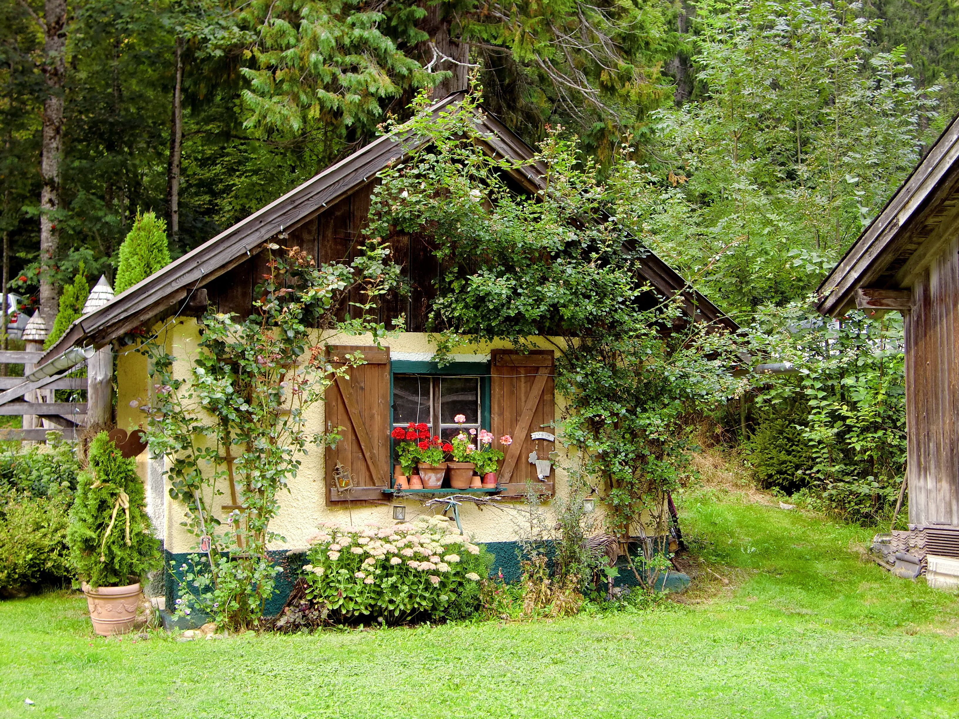 no people, garden shed, forest, dacha, beauty in nature, entwine, cabin, romantic, grass, house, haunting, romance, mysterious, outdoors, built structure, HD Wallpaper