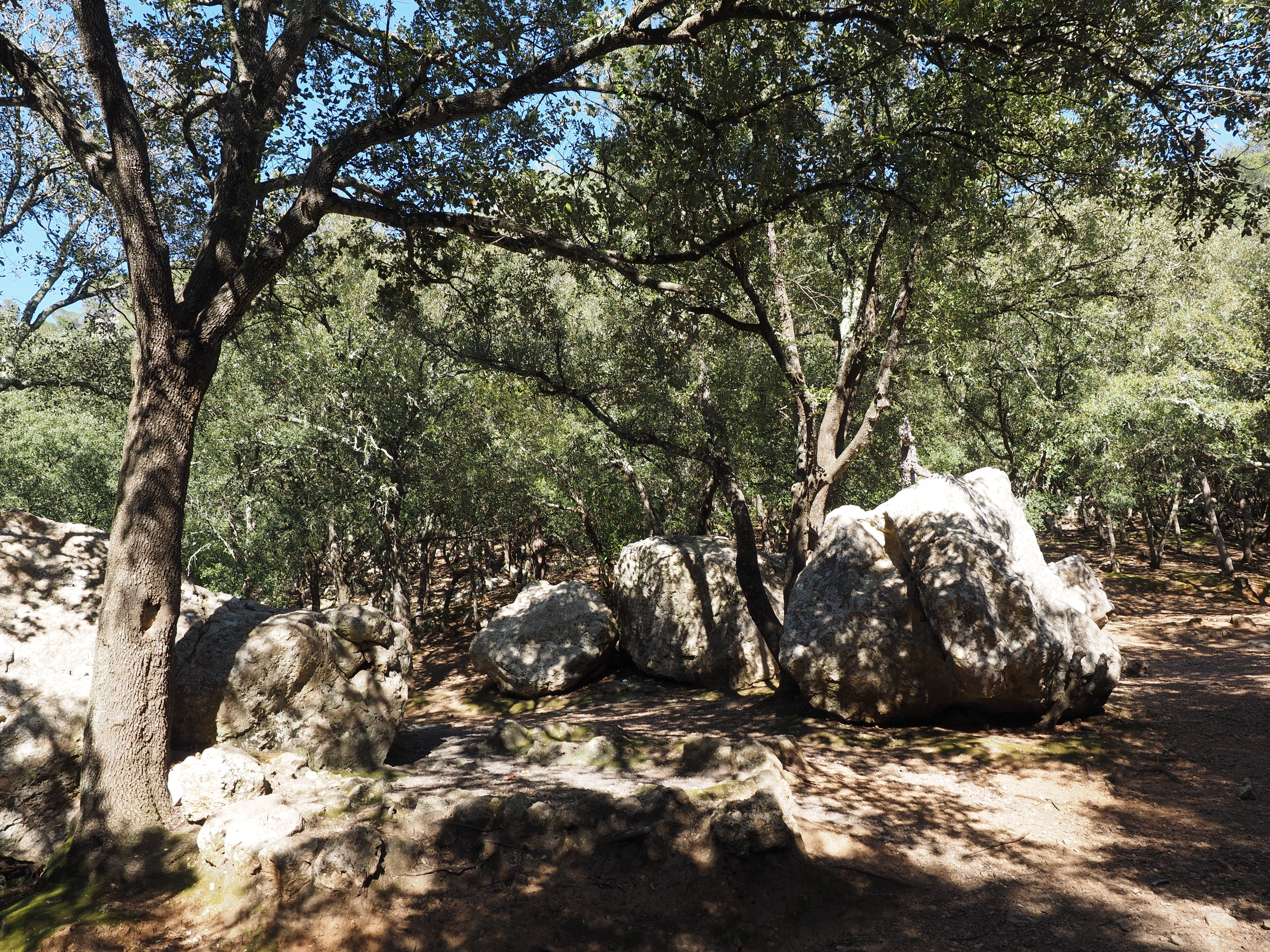 plant, no people, trees, valley of orient, land, haunting, oak forest, water, rock, sunlight, solid, flowing water, tranquility, forest, mallorca, beauty in nature, HD Wallpaper