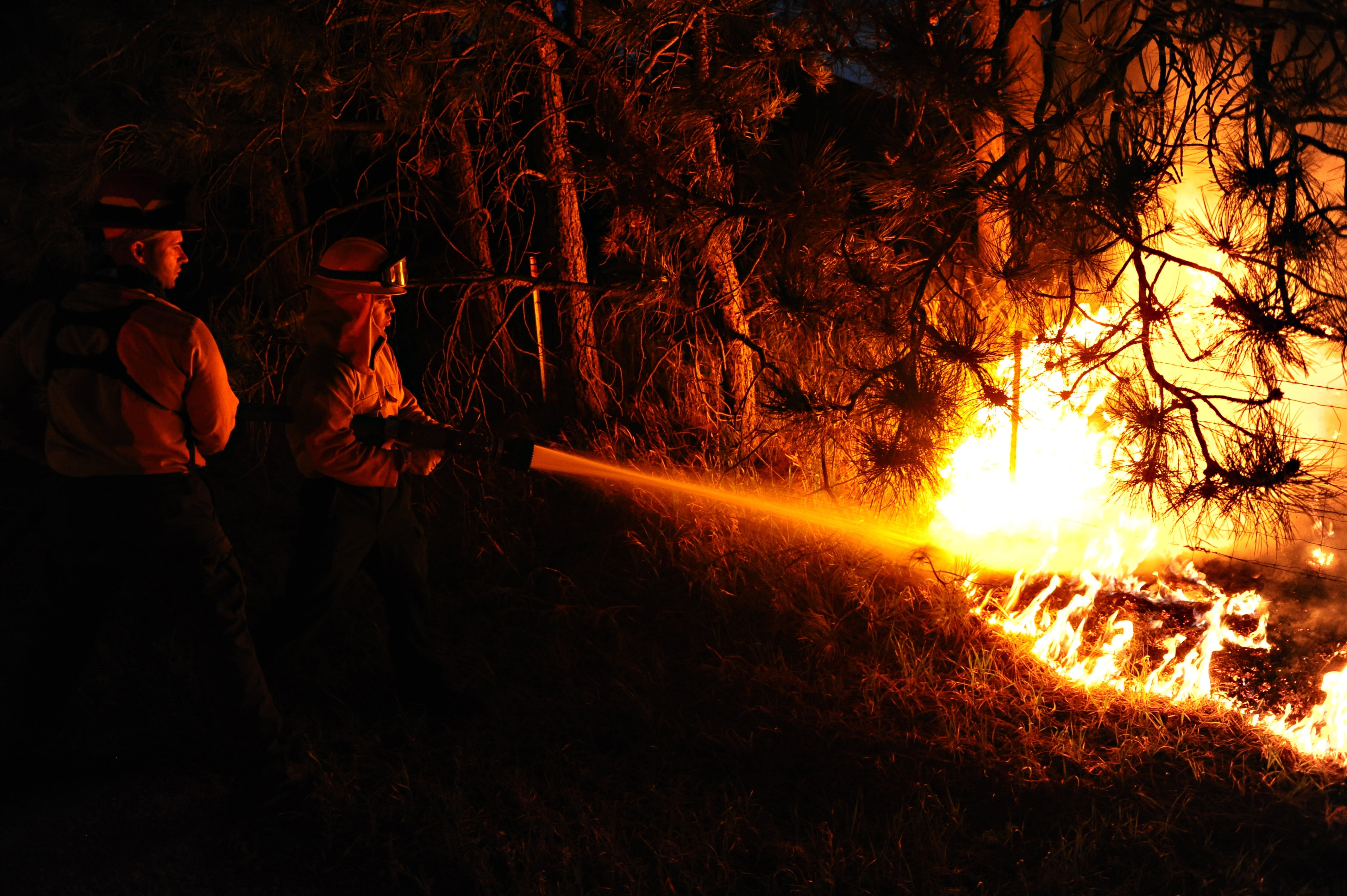 child, firemen, spraying, flames, firefighters, heat - Temperature, forest fire, equipment, land, communication, flame, real people, tree, burning, 4K, HD Wallpaper