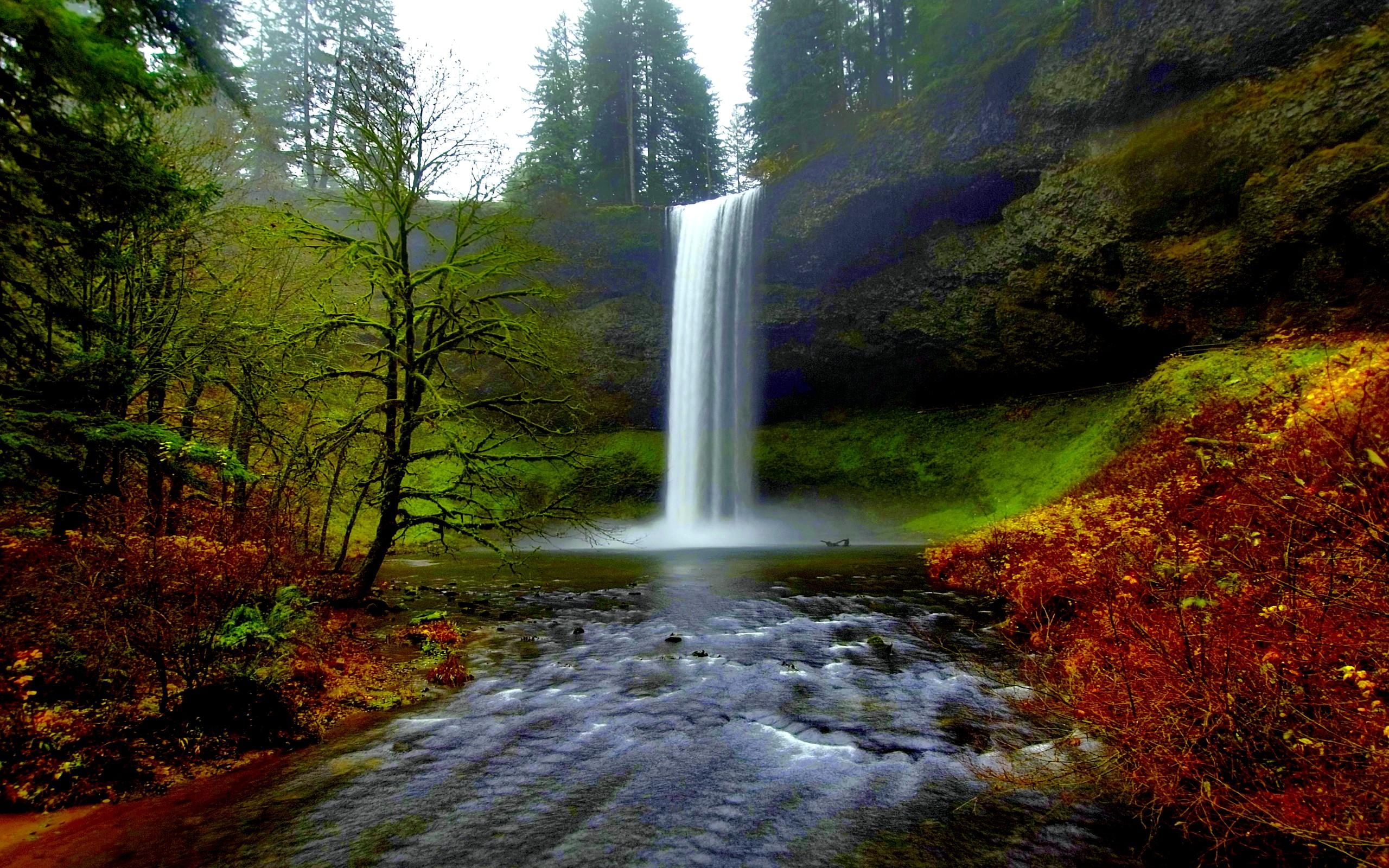 nature and landscapes, oregon, silver falls, waterfalls, falls, northwest, 2K, silver, HD Wallpaper