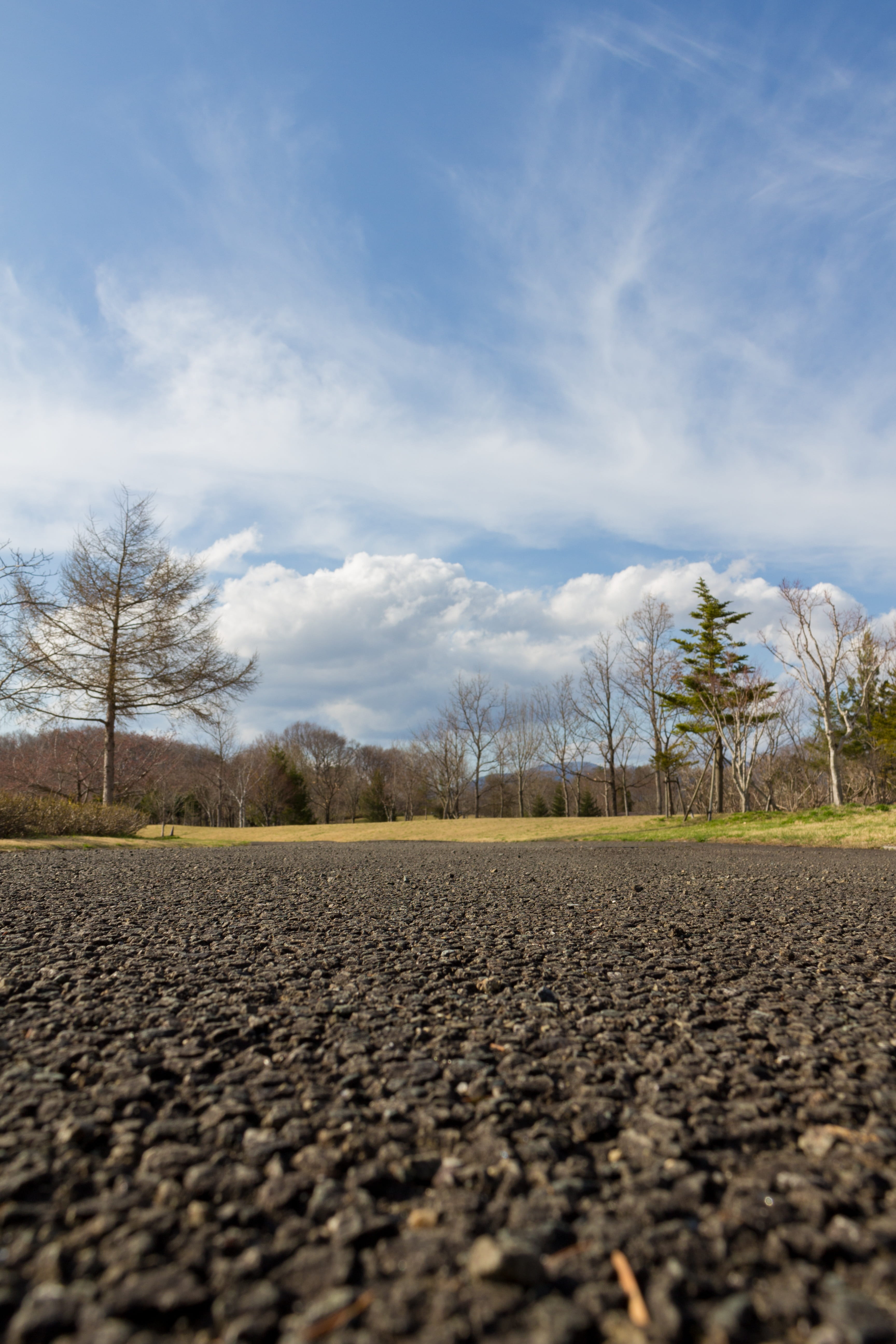 Street, bare tree, length, no people, distance, growth, root, plant, mountain, grass, land, cloud - sky, sky, asphalt, miles, park, road, rural scene, Road, Phone HD Wallpaper