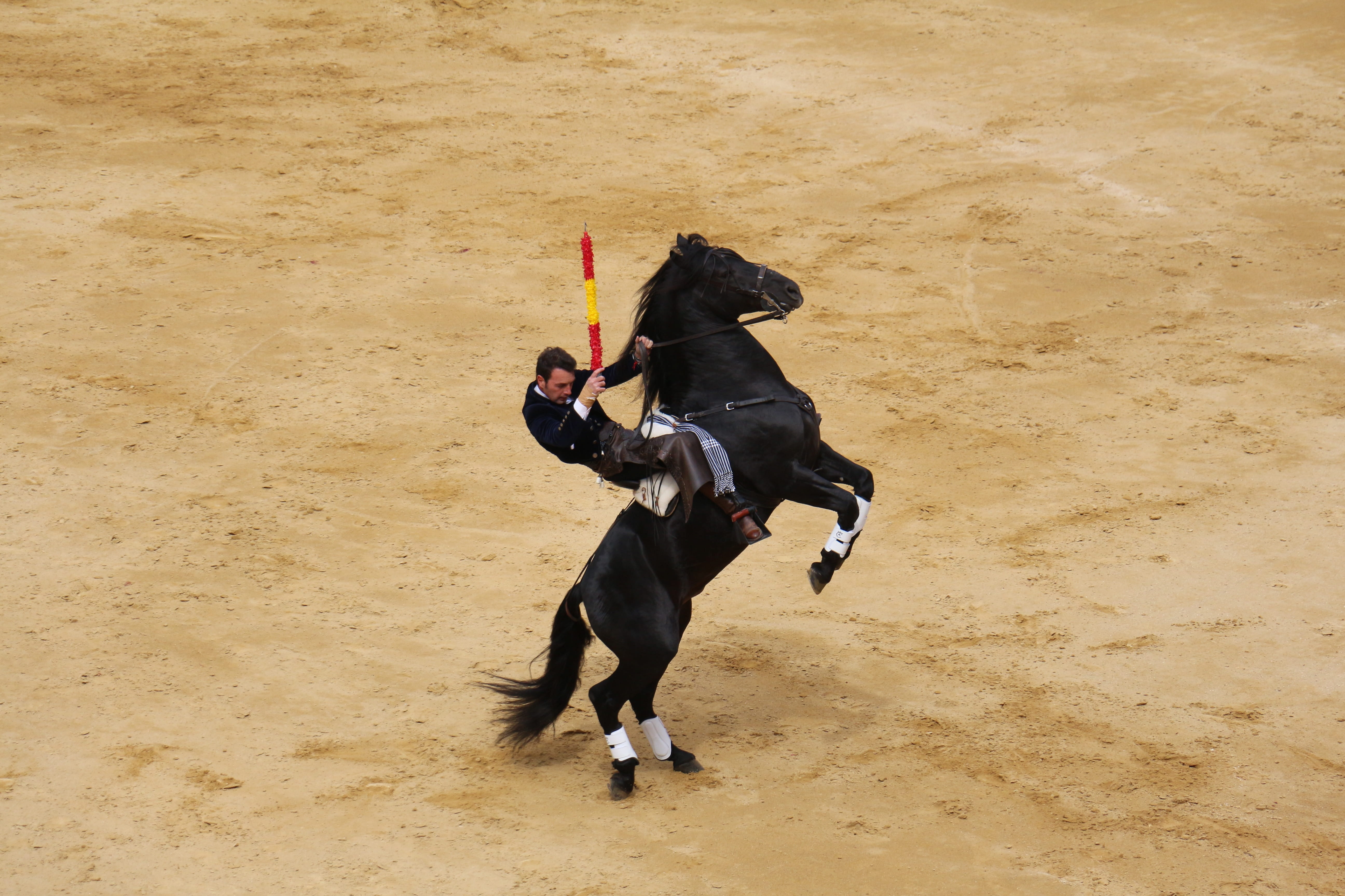 all square, day, rejoneador, land, nature, men, performance, 5K, vertebrate, plaza de toros de valencia, one animal, domestic, bullfight, one person, skill, HD Wallpaper