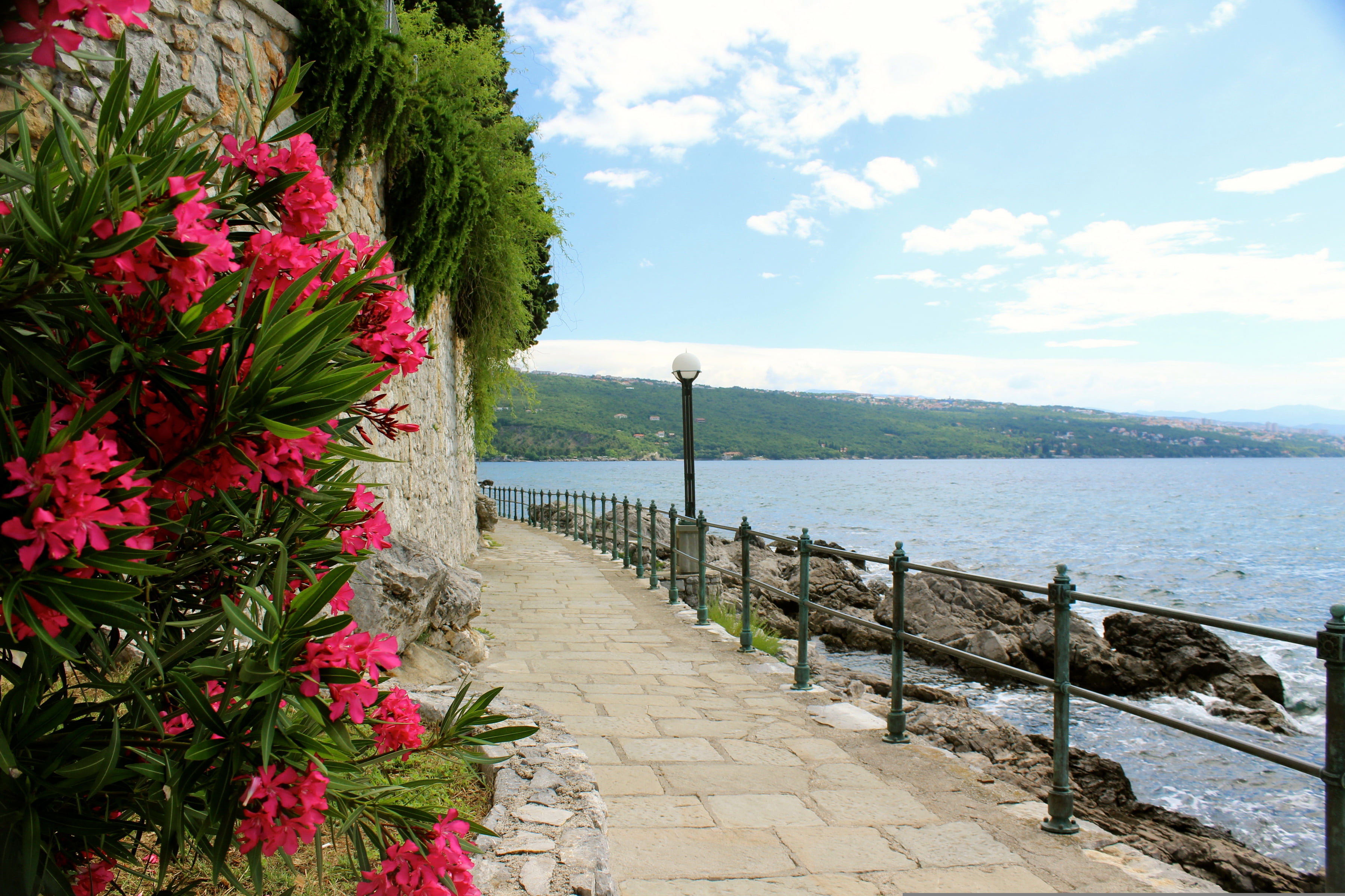 2K, tranquil scene, freshness, Opatija, coast, lantern, no people, nature, pink, footpath, petaled, railing, street, the fence, tranquility, growth, flowering plant, HD Wallpaper
