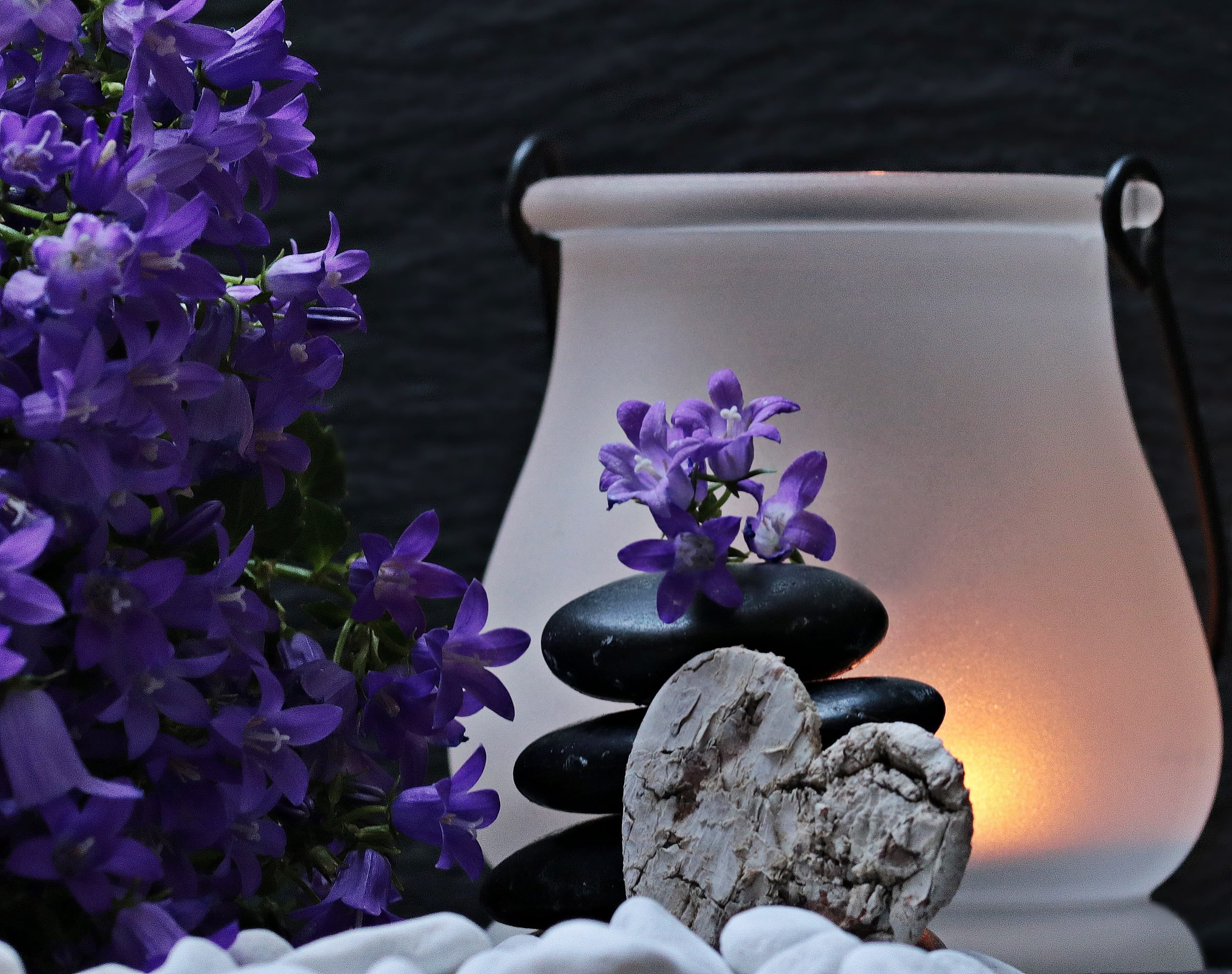 flower head, lantern, bouquet, relaxation, no people, flower arrangement, white, stone balance, decoration, inflorescence, black, balance, flowering plant, HD Wallpaper
