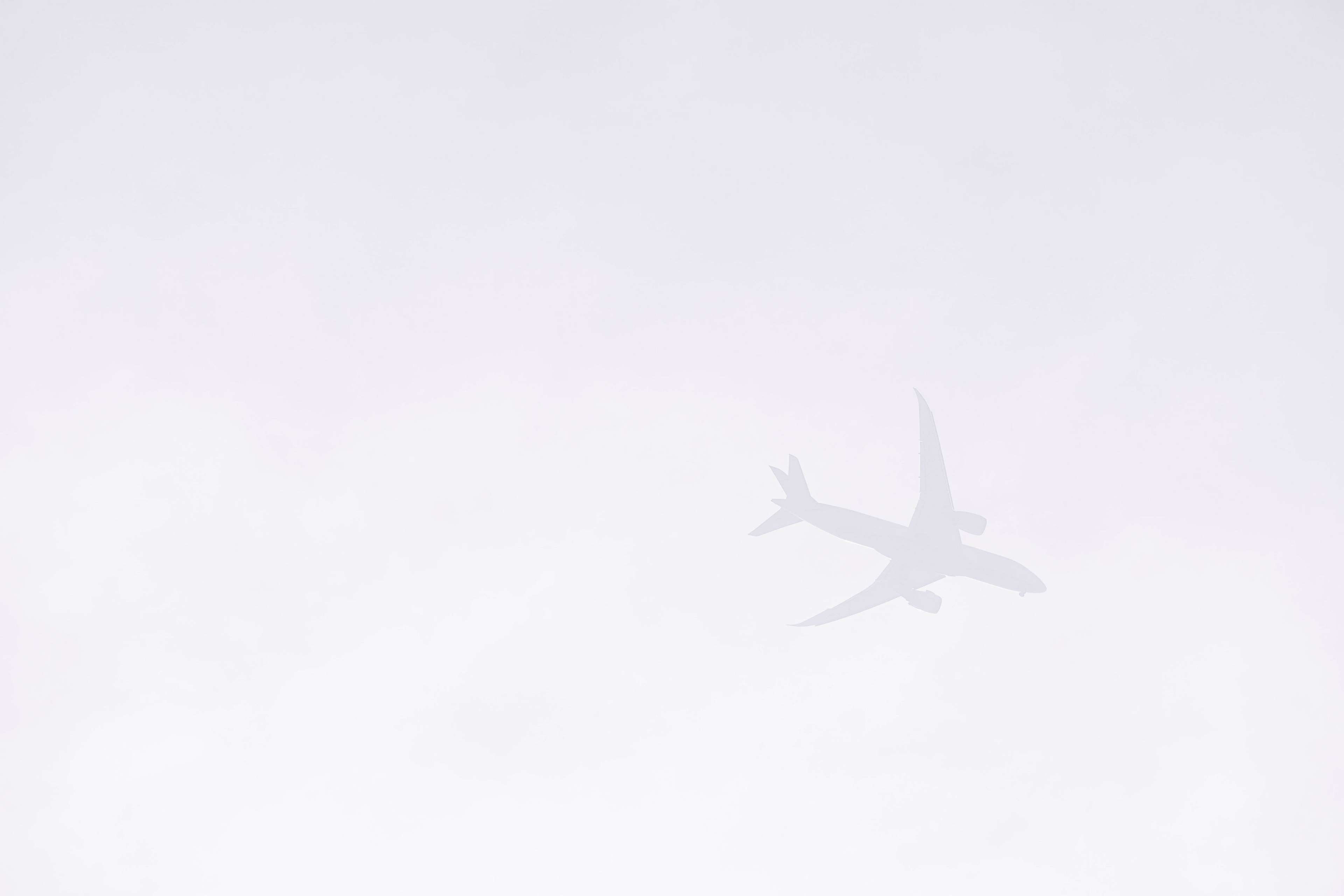 america, animals in the wild, glow, aviation, transportation, fly, away, animal wildlife, day, nature, aircraft, sky, air, copy space, marine, airport, HD Wallpaper