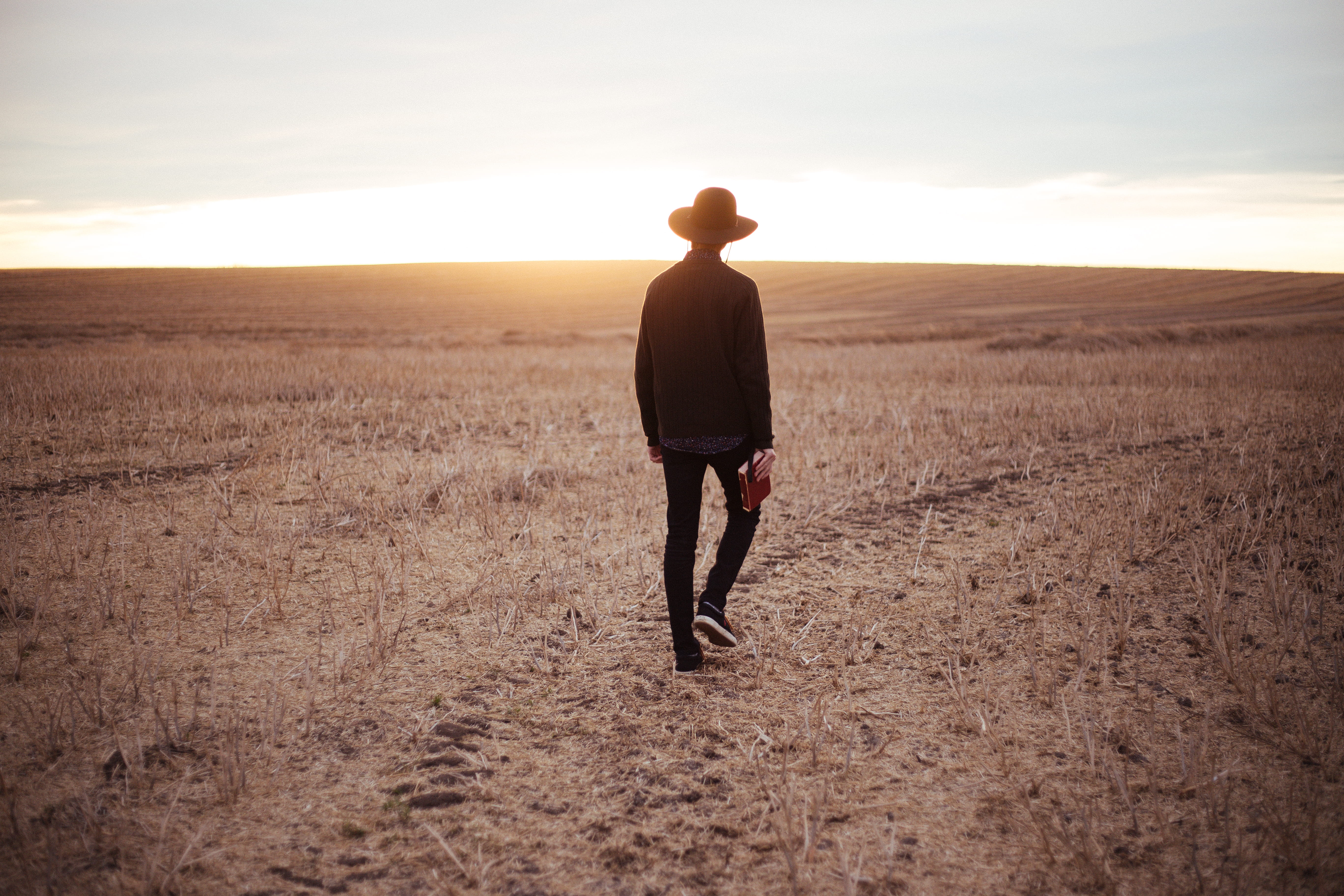 prairie, rear view, dried, man, sun, land, back lit, hat, book, landscape, 5K, horizon, nature, style, one person, hobby, carrying, horizon over land, HD Wallpaper