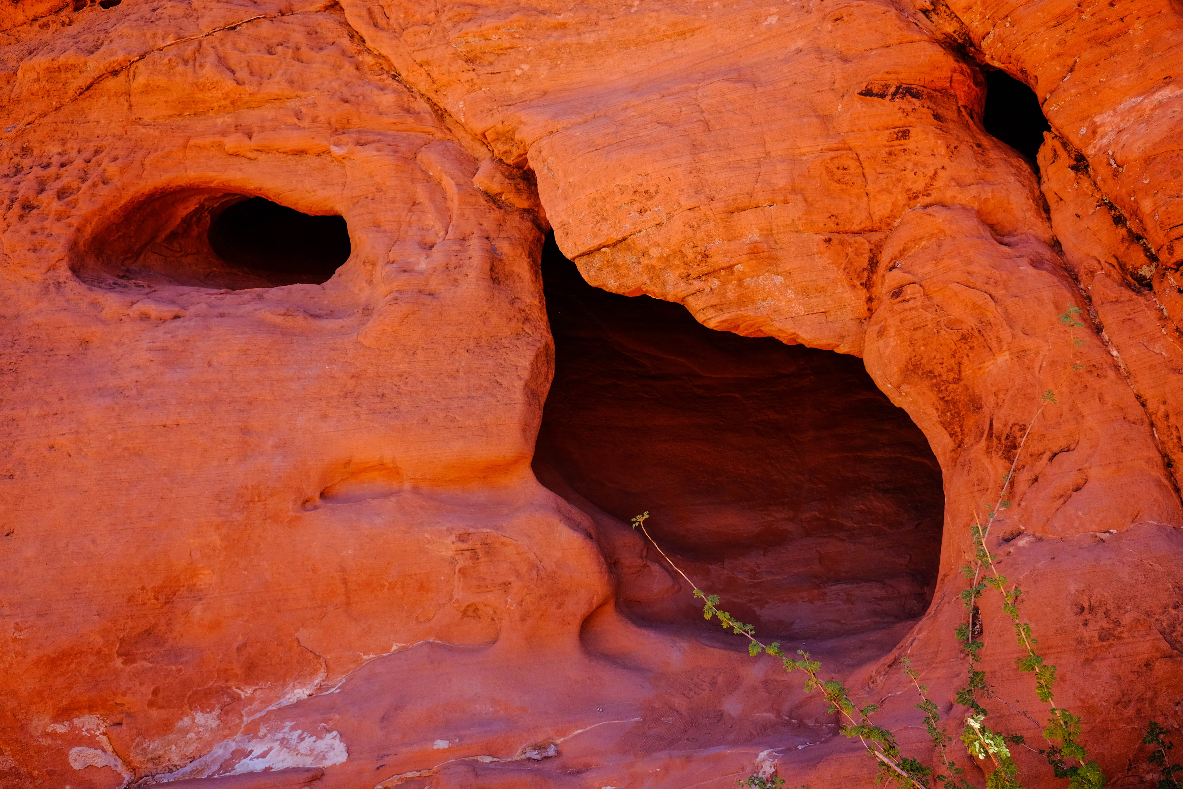 beauty in nature, outdoors, travel destinations, face, red rocks, rocks, non-urban scene, valley of fire state park, sandstone, geology, cave, rock - object, HD Wallpaper