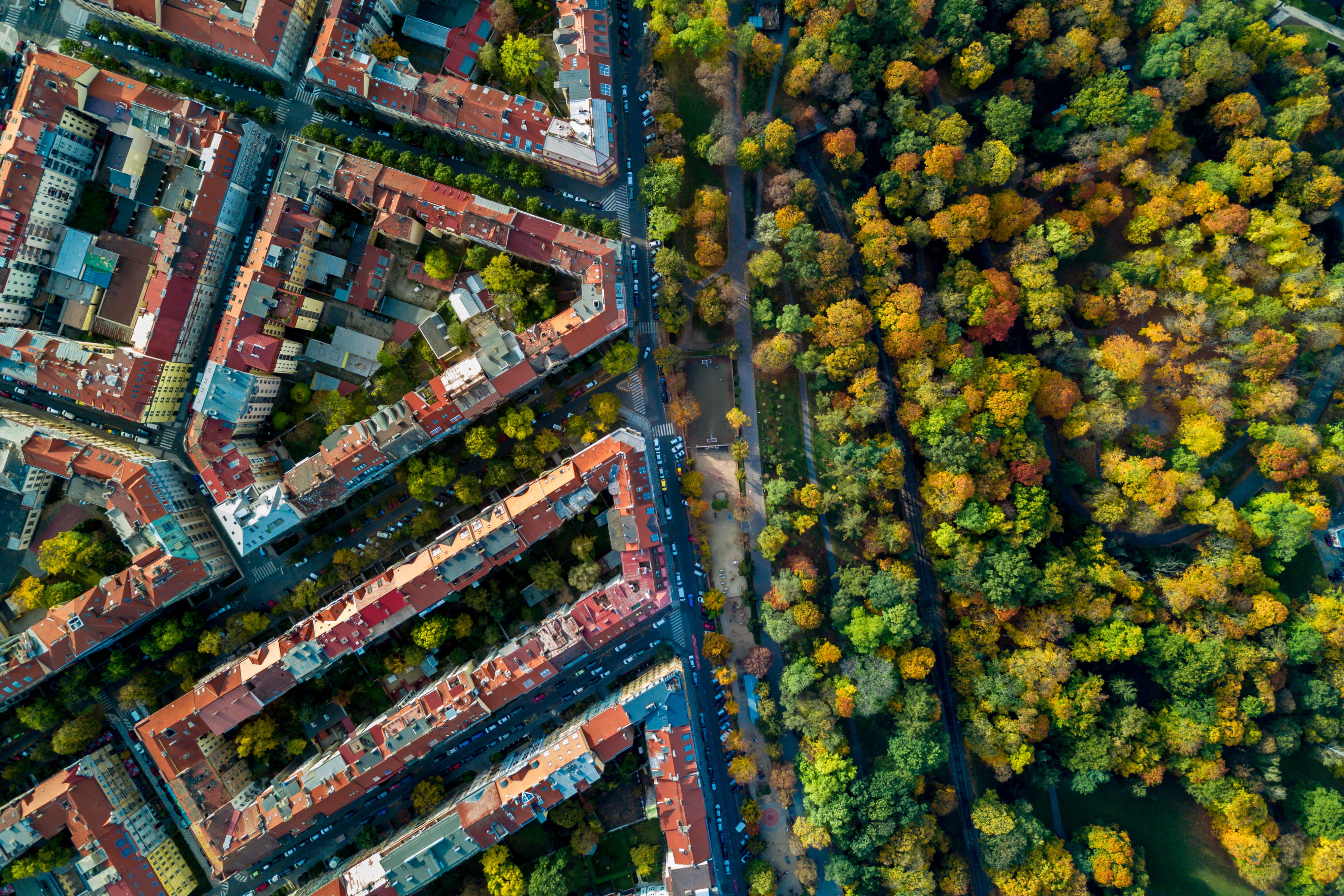 historic, market, built structure, autumn, city, plant, abundance, nature, aerial, architecture, no people, building exterior, full frame, outdoors, amazing, HD Wallpaper
