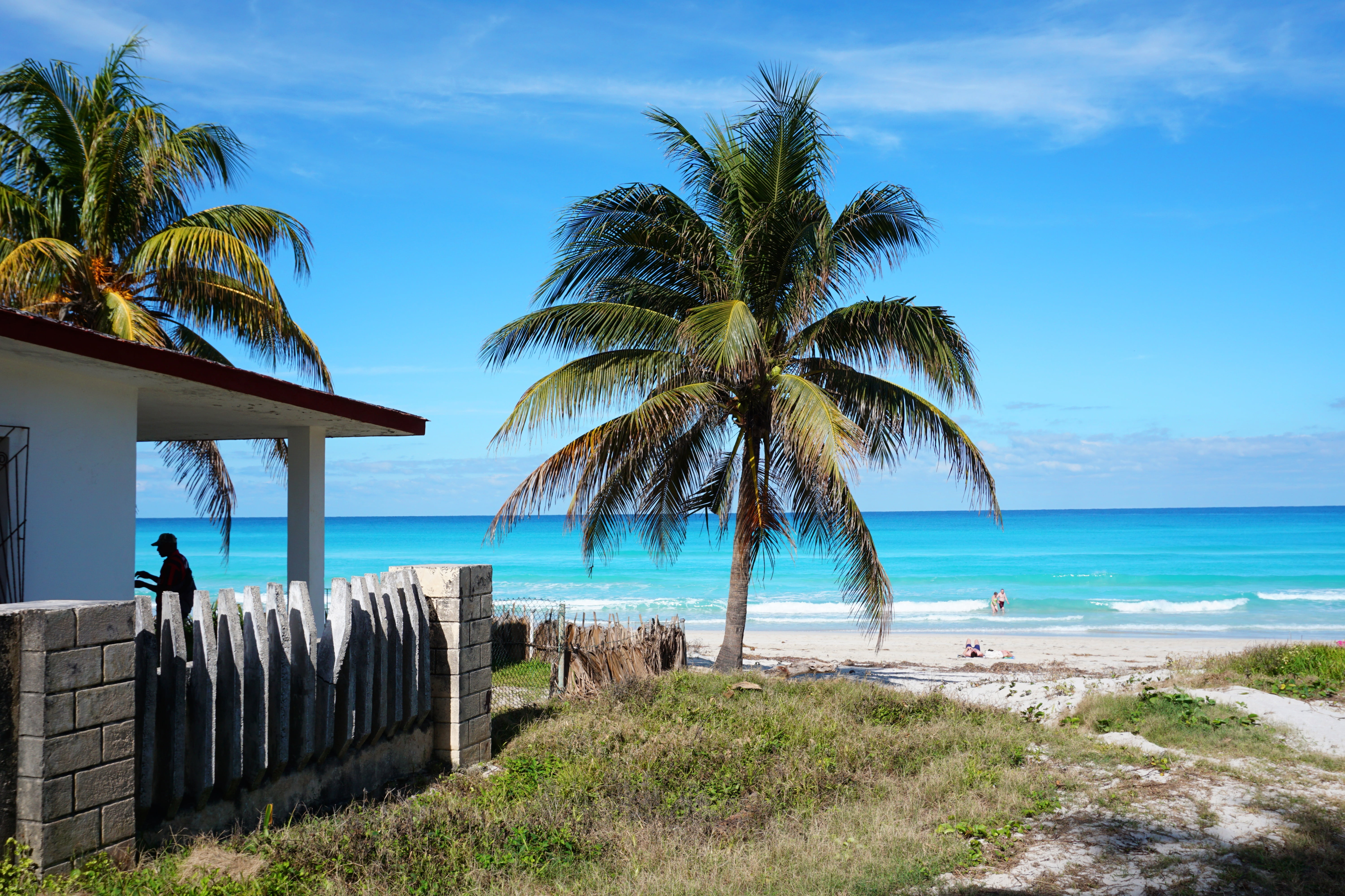 varadero, land, sky, sea, vacations, palm trees, beauty in nature, holiday, tropical climate, plant, horizon over water, horizon, day, white, nature, tree, HD Wallpaper