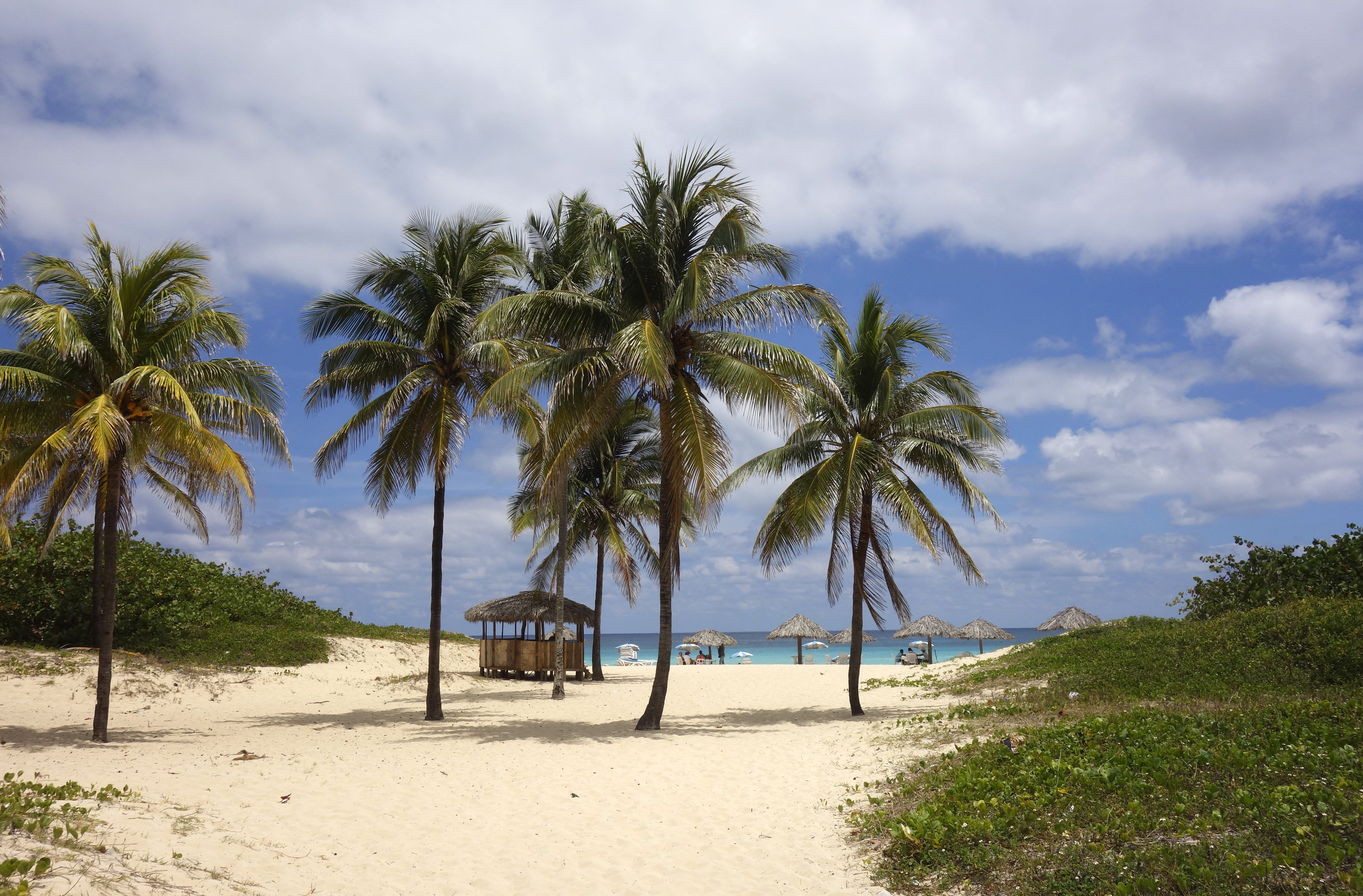 beautiful, brazil, sky, exotic, relax, tranquil scene, rio, tropical tree, sand, idyllic, tranquility, island, parasol, lake, cloud - sky, beautiful beaches, HD Wallpaper