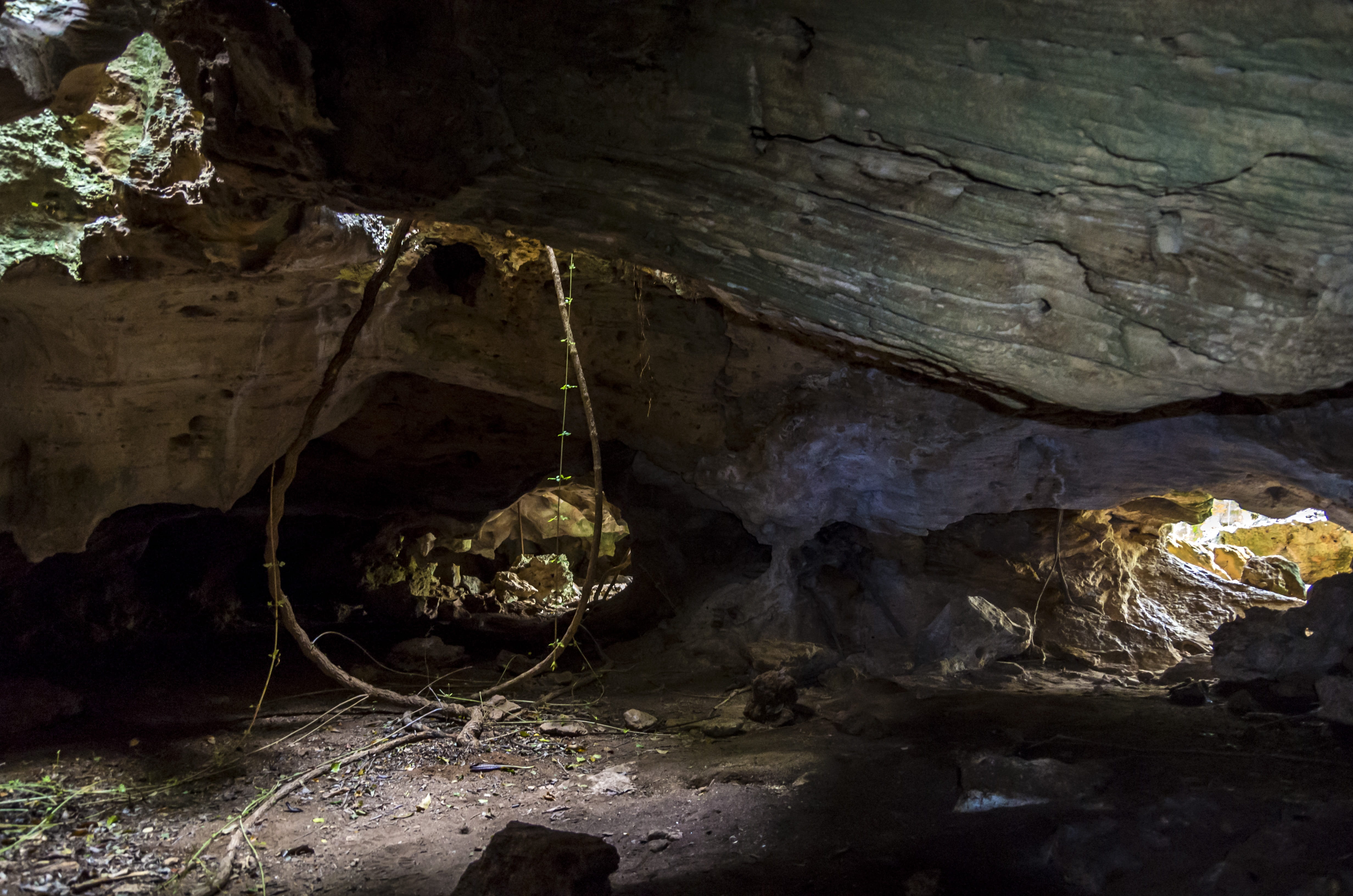 nature, cave, reserva ecologica varahicacos, illuminated, varadero, eroded, beauty in nature, rock - object, rock, day, gray, indoors, stalactite, architecture, HD Wallpaper