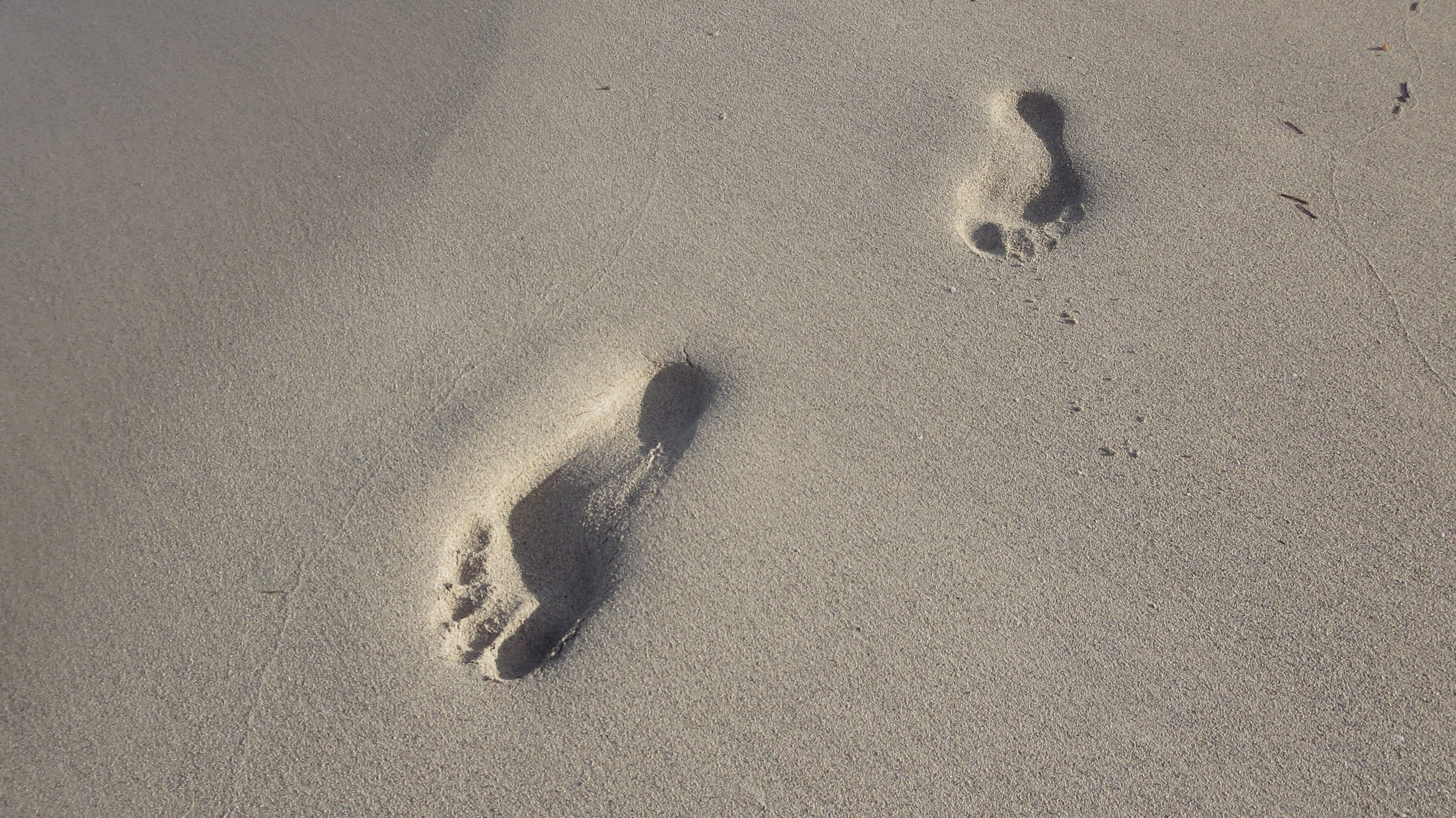 Varadero, footprint, coast, print, shadow, paw print, pattern, high angle view, Beach, close-up, destination, sunlight, full frame, nature, no people, representation, HD Wallpaper