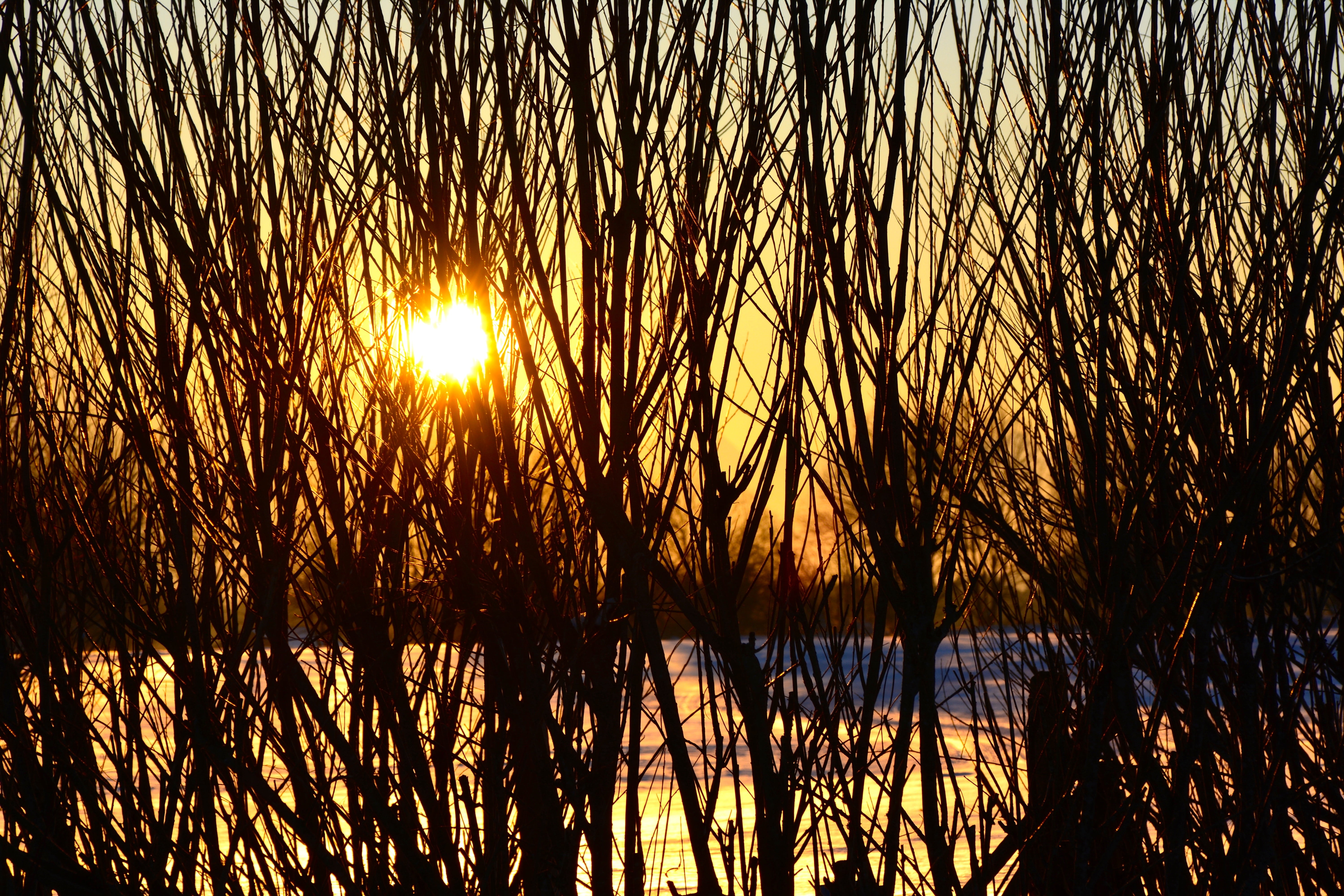 sunset, romance, snow landscape, 5K, tranquility, snow, lens flare, winter, sun, reflection, tree, winter mood, non-urban scene, evening light, water, HD Wallpaper