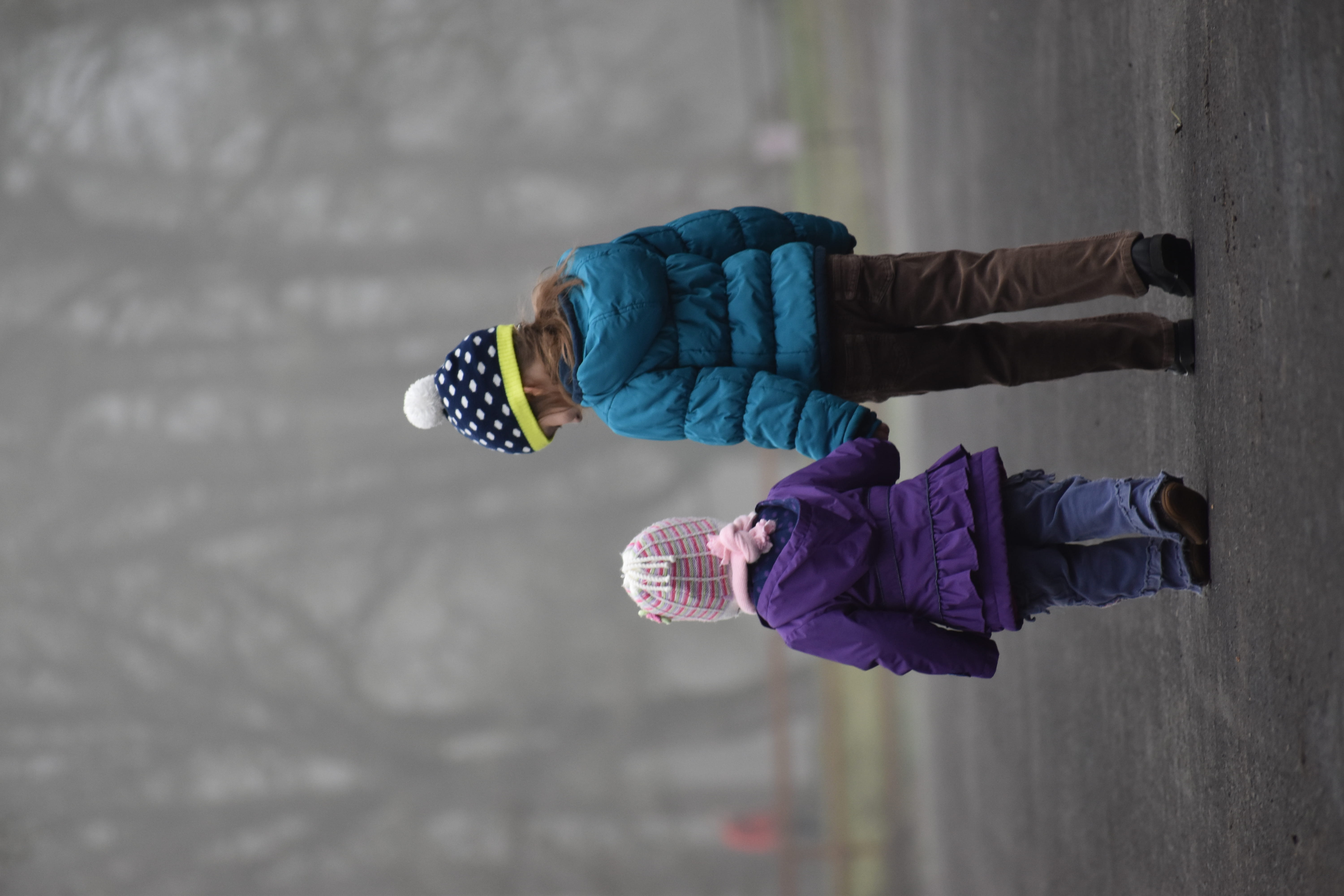people, footwear, beanie, purple, near, focus, 5K, apparel, day, shallow, hood - clothing, coat, full length, trees, walking, road, real people, HD Wallpaper