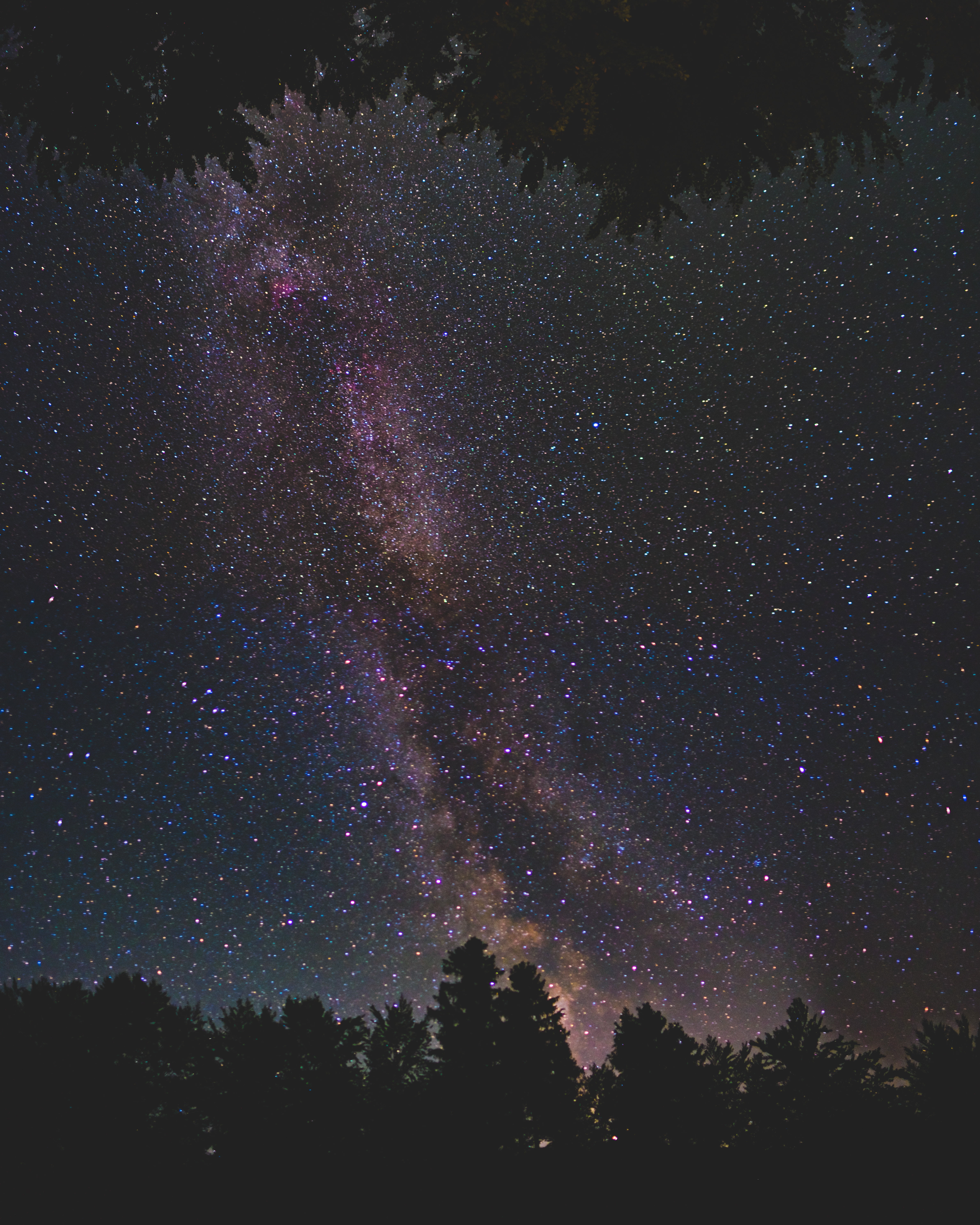 dark, galaxy, tranquility, space, nature, starry sky, night, 5K, trees, tree, outdoors, tranquil scene, no people, silhouette, sky, growth, space and astronomy, Phone HD Wallpaper