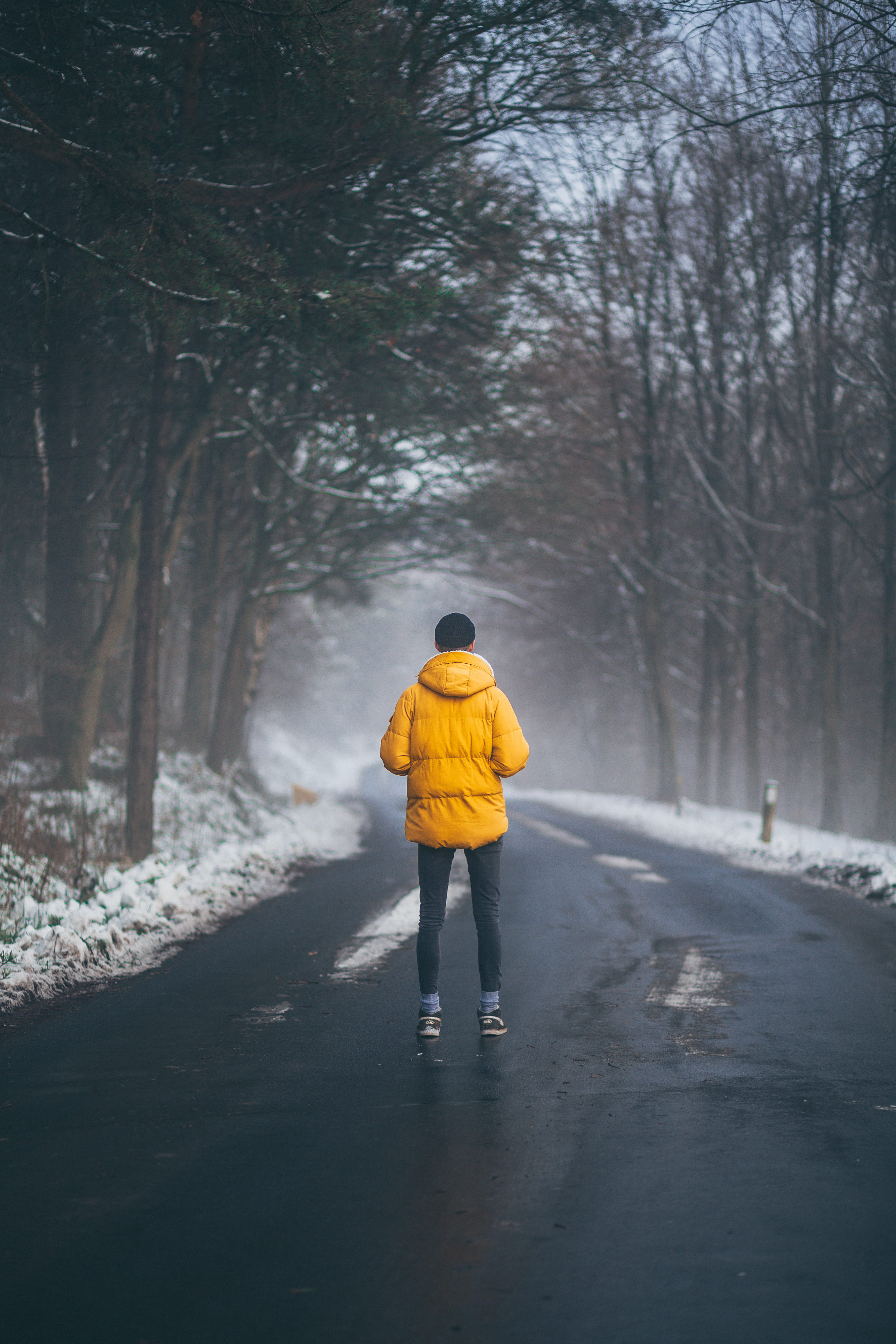 plant, mountain, cold temperature, snow, clothing, tree, standing, wood, winter, trees, road, adventure, one person, walking, jacket, lifestyles, leisure activity, Phone HD Wallpaper
